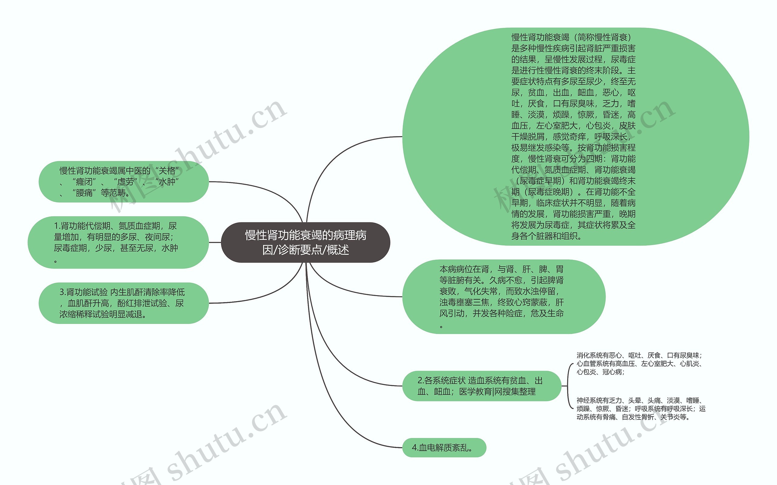 慢性肾功能衰竭的病理病因/诊断要点/概述