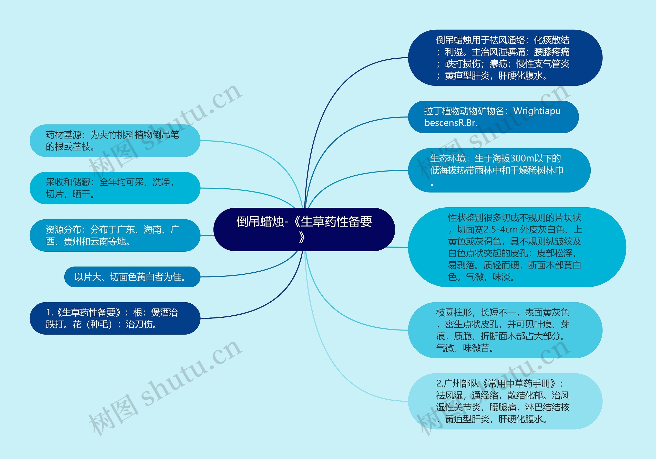 倒吊蜡烛-《生草药性备要》思维导图