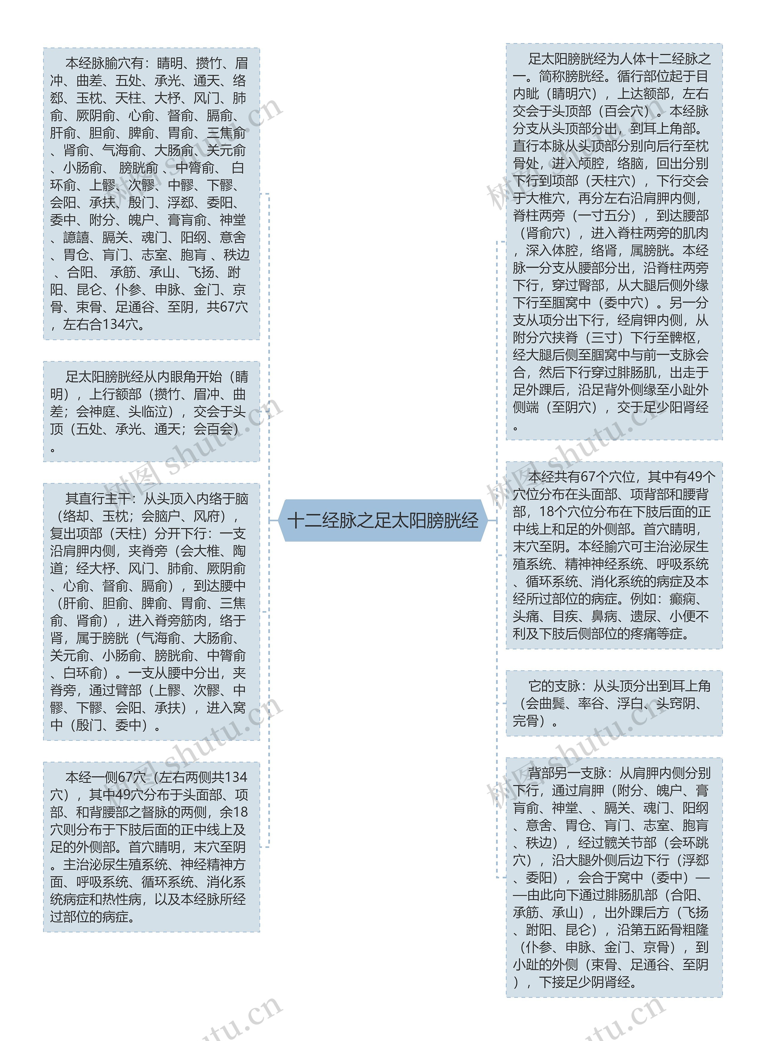 十二经脉之足太阳膀胱经思维导图