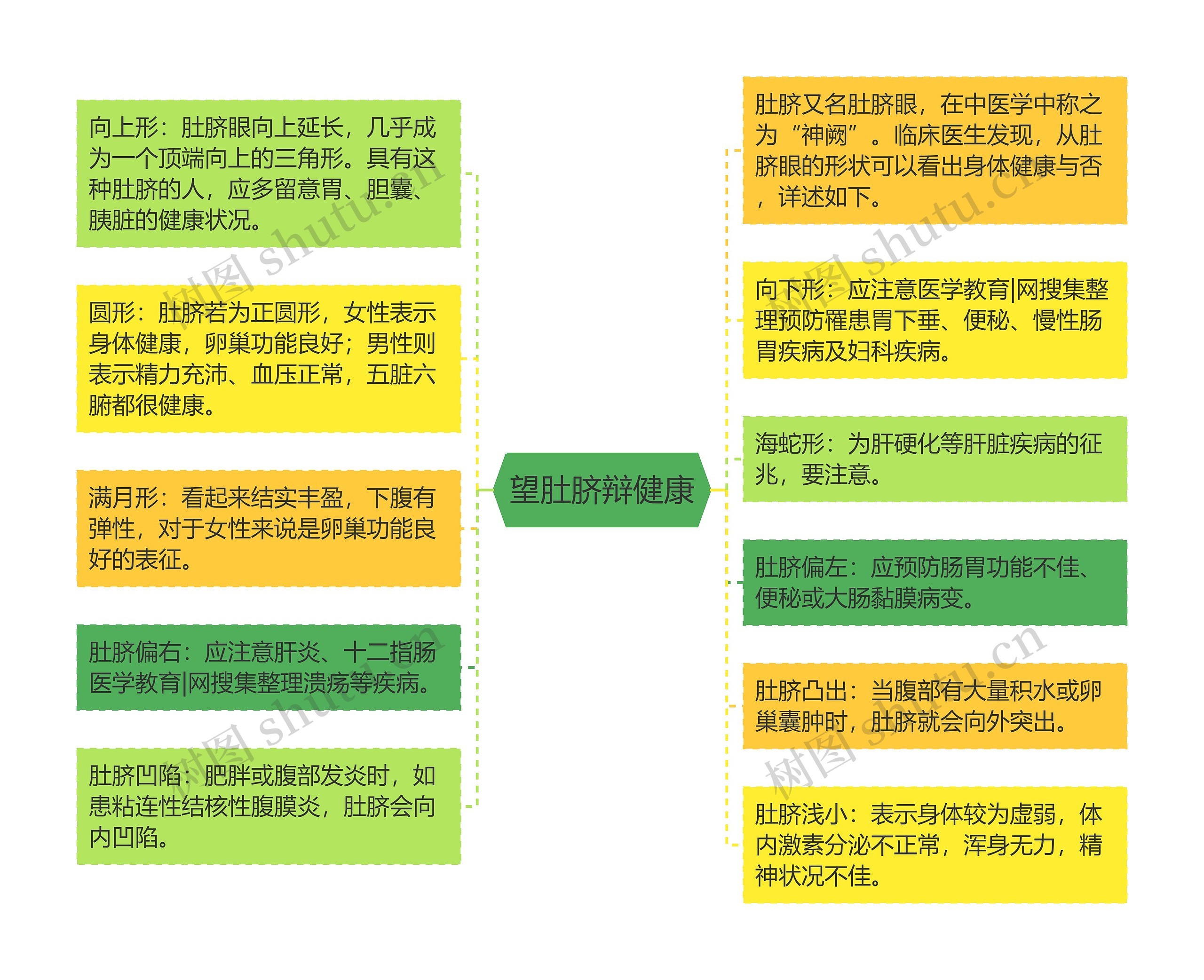 望肚脐辩健康思维导图