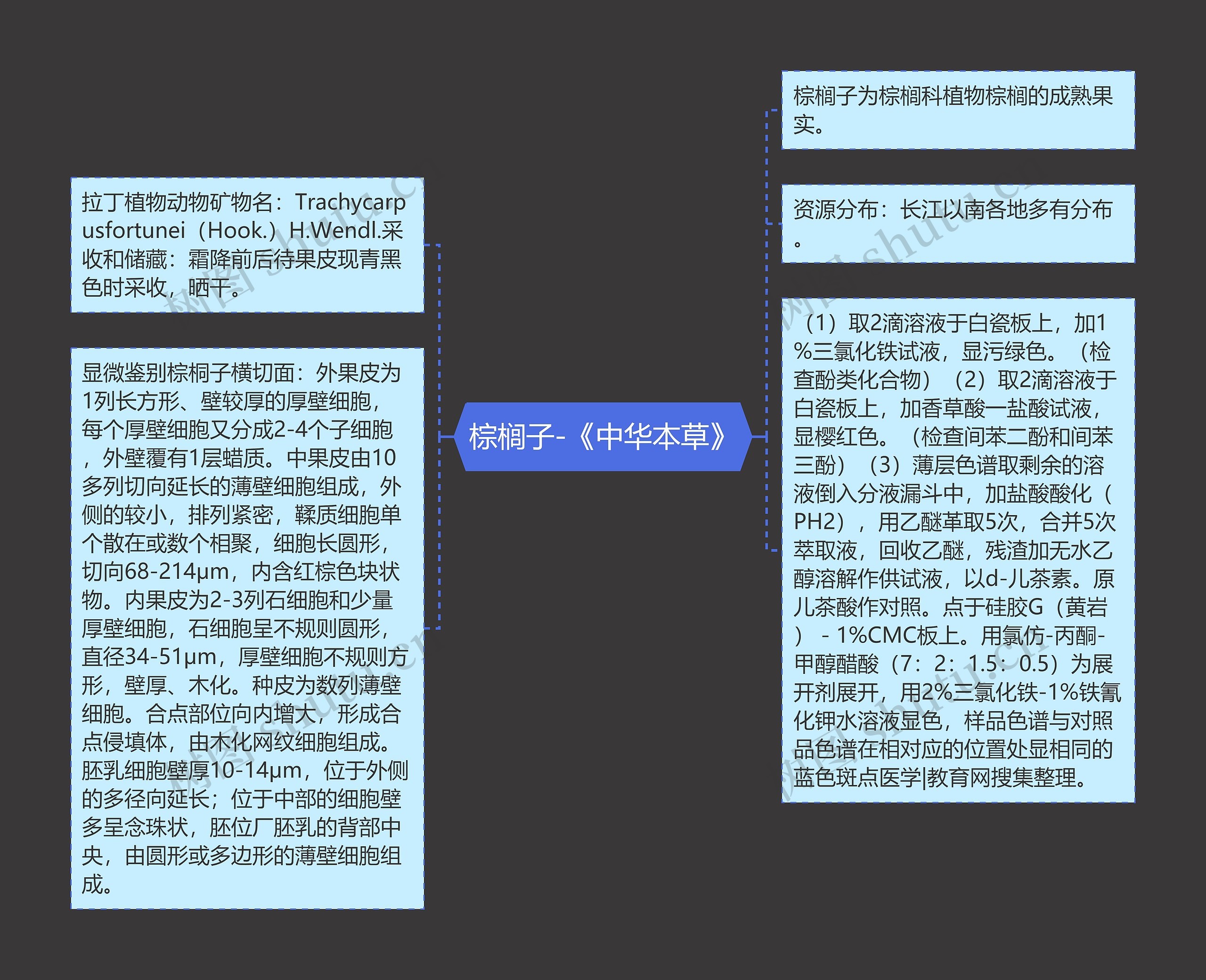 棕榈子-《中华本草》 棕榈子-《中华本草》