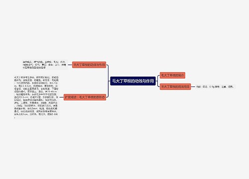毛大丁草根的功效与作用