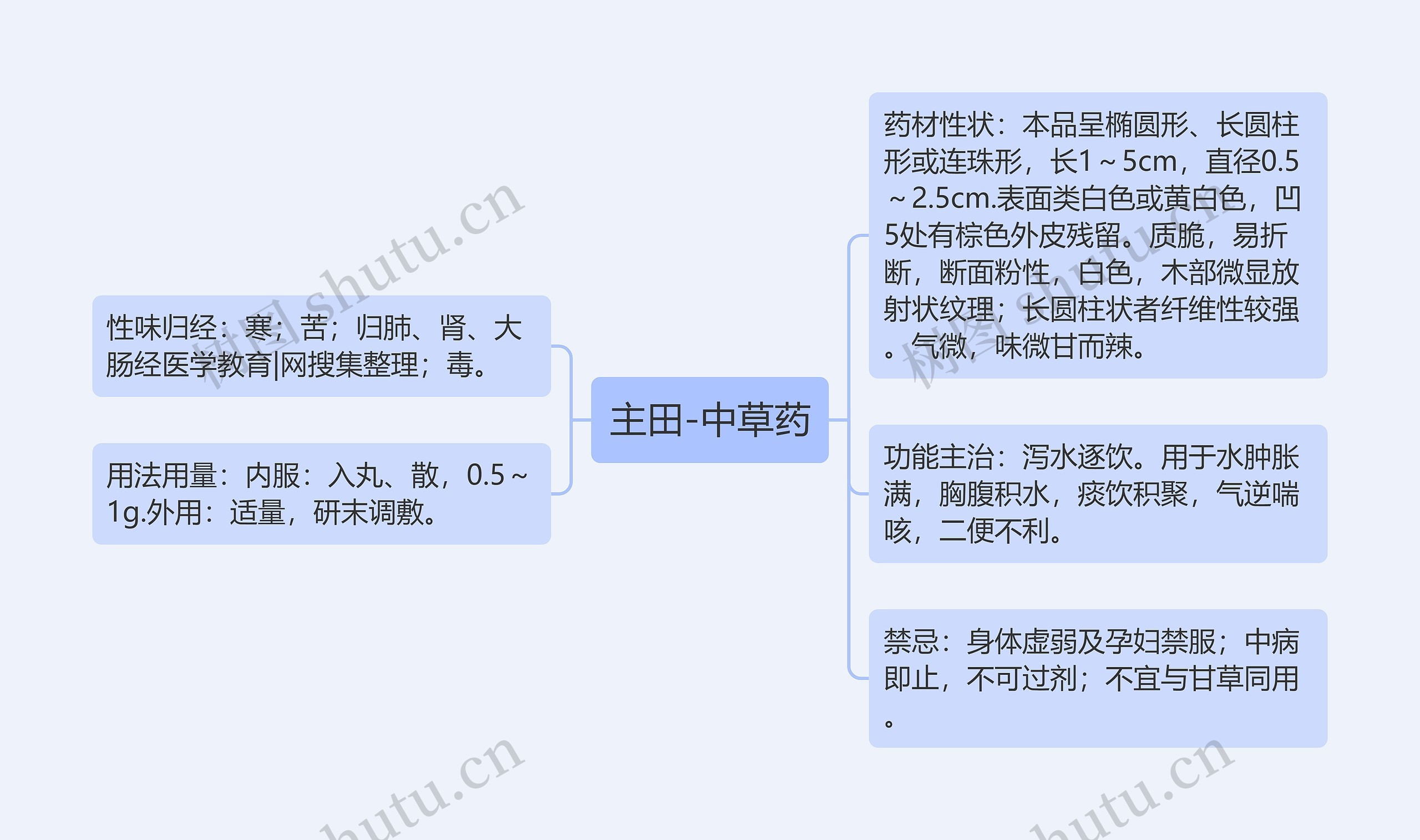 主田-中草药 主田-中草药