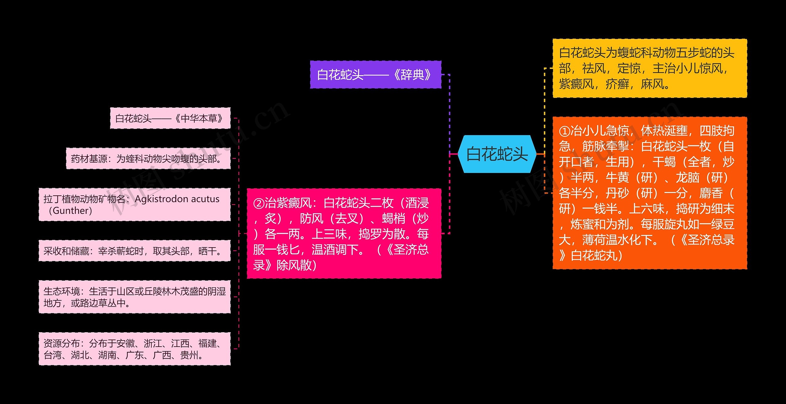 白花蛇头思维导图