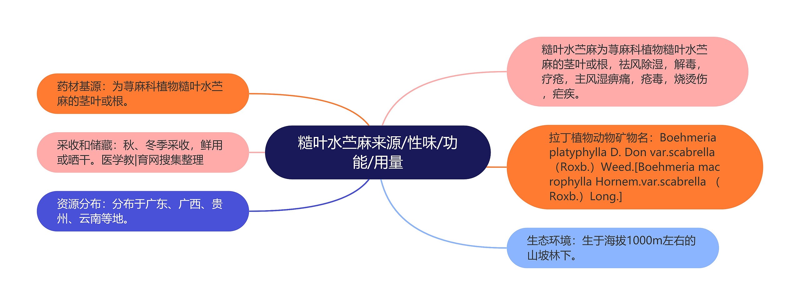 糙叶水苎麻来源/性味/功能/用量思维导图