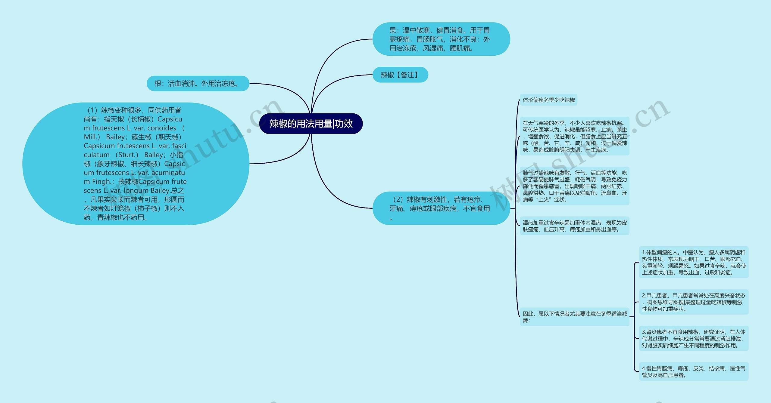 辣椒的用法用量|功效思维导图