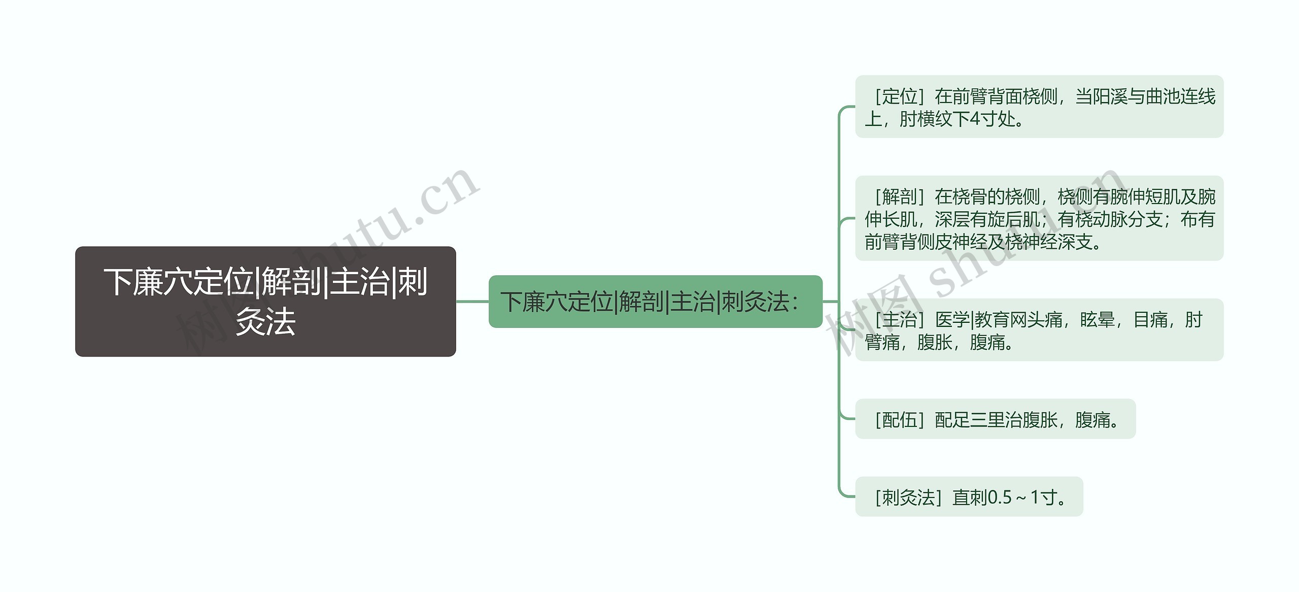 下廉穴定位|解剖|主治|刺灸法