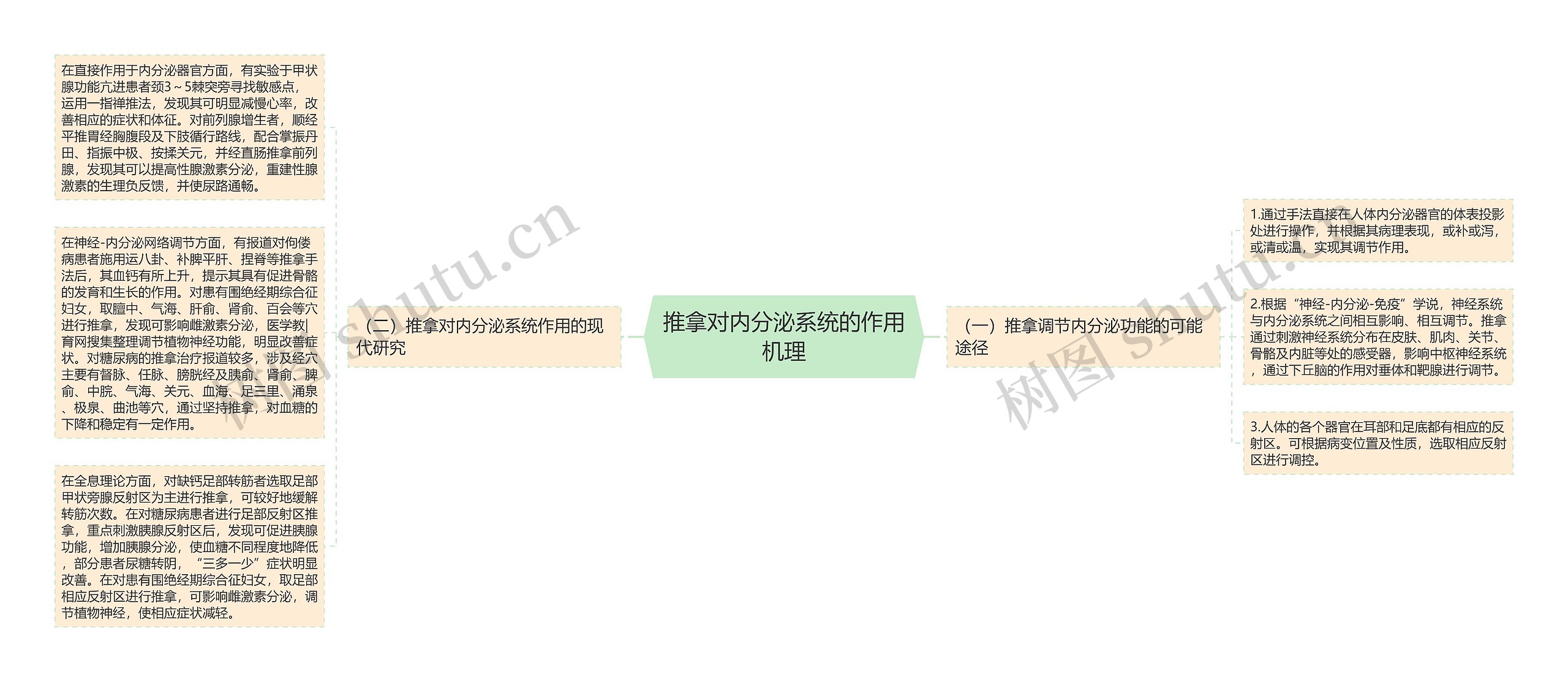 推拿对内分泌系统的作用机理