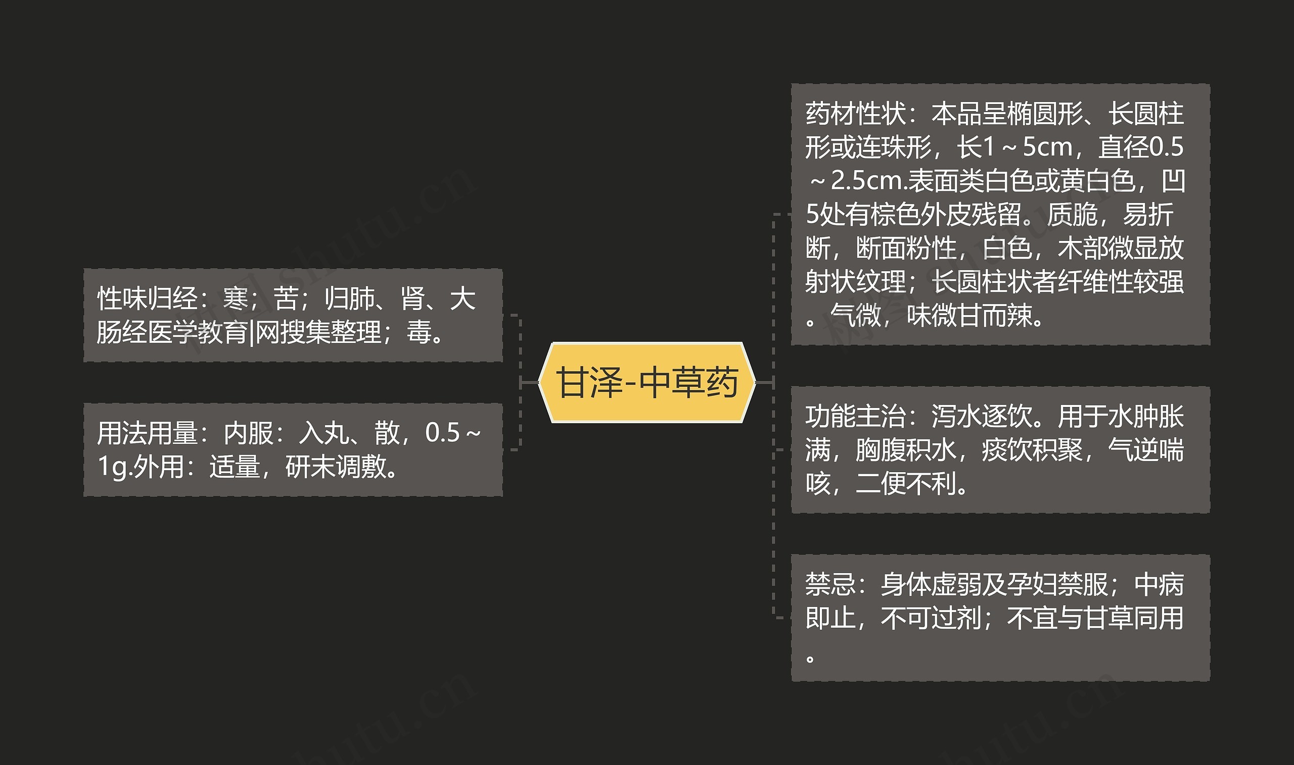 甘泽-中草药 甘泽-中草药