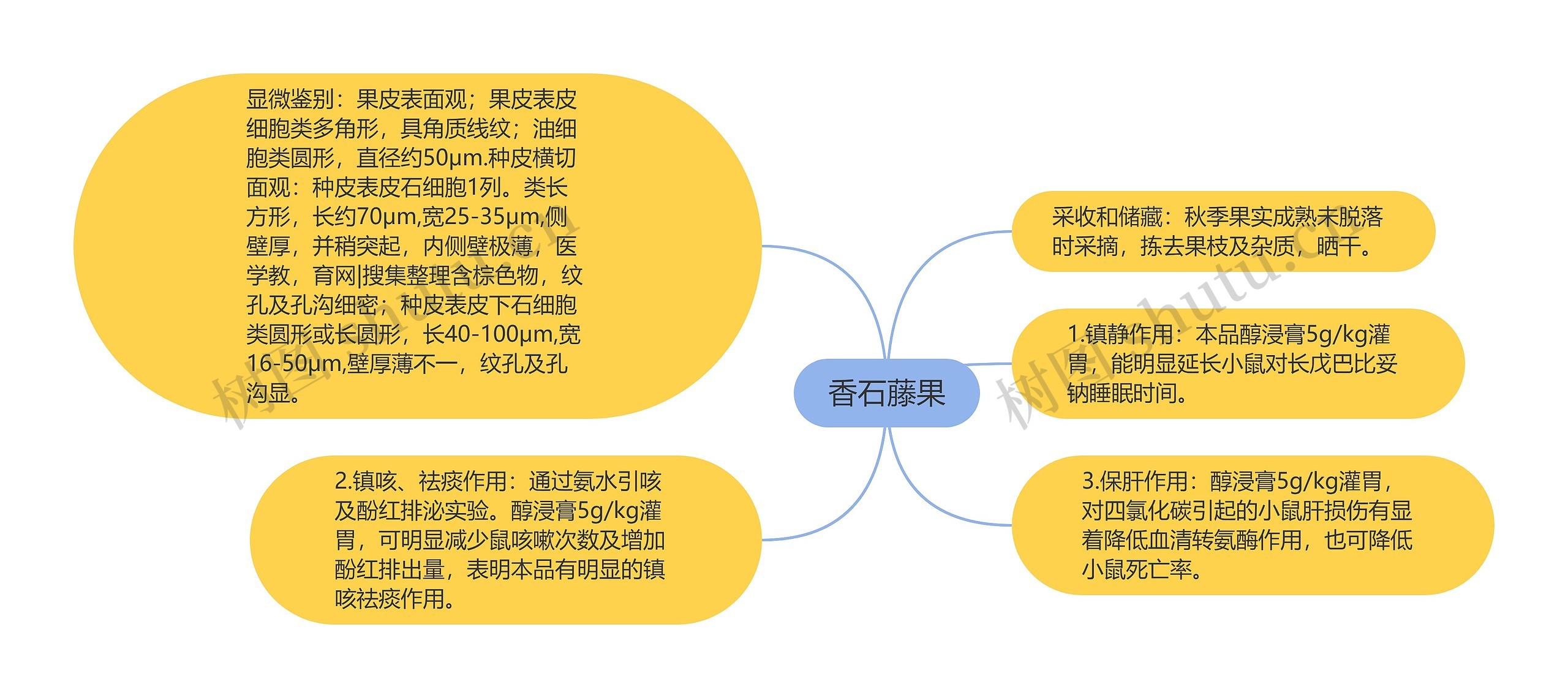 香石藤果思维导图