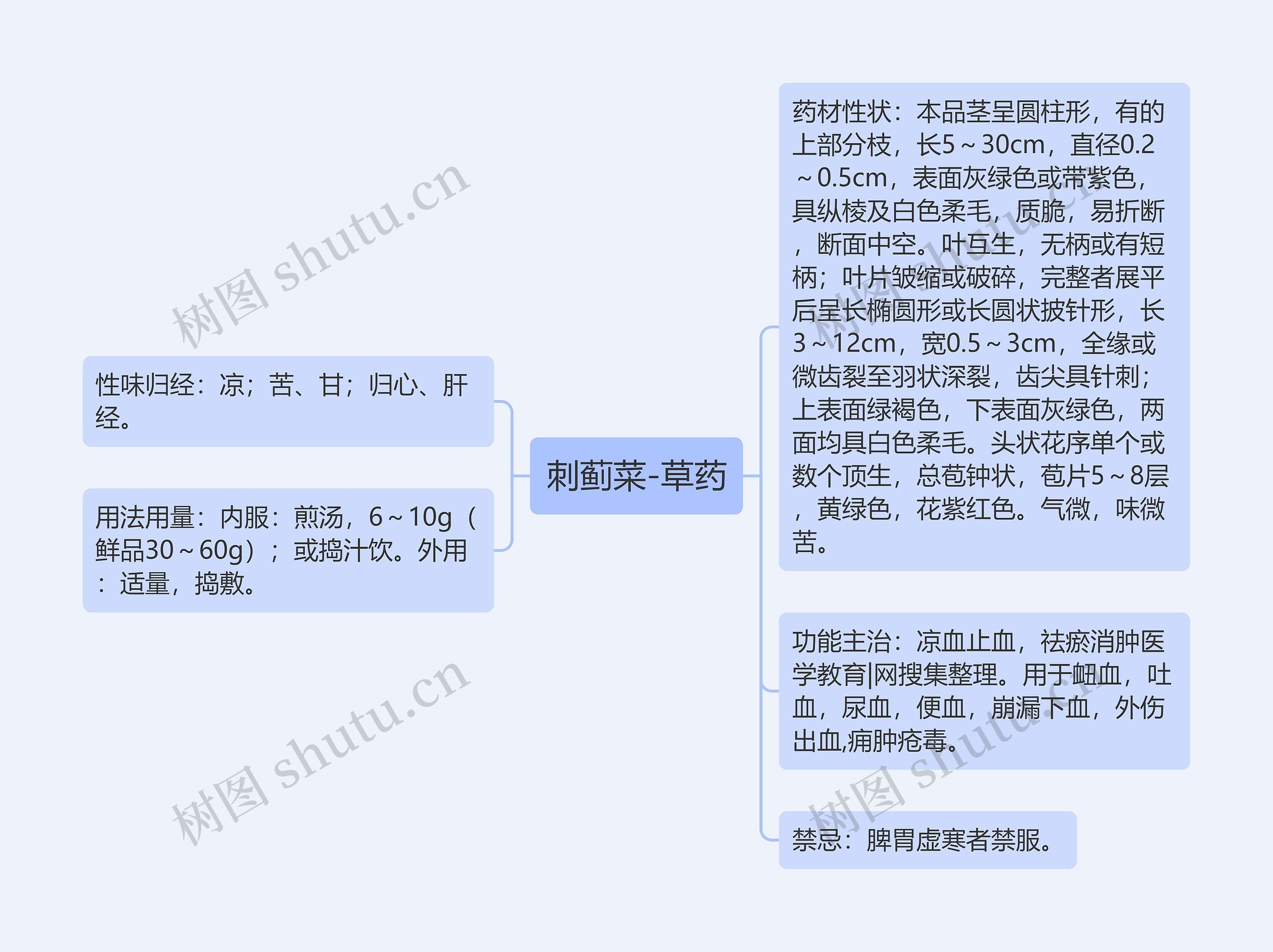 刺蓟菜-草药思维导图