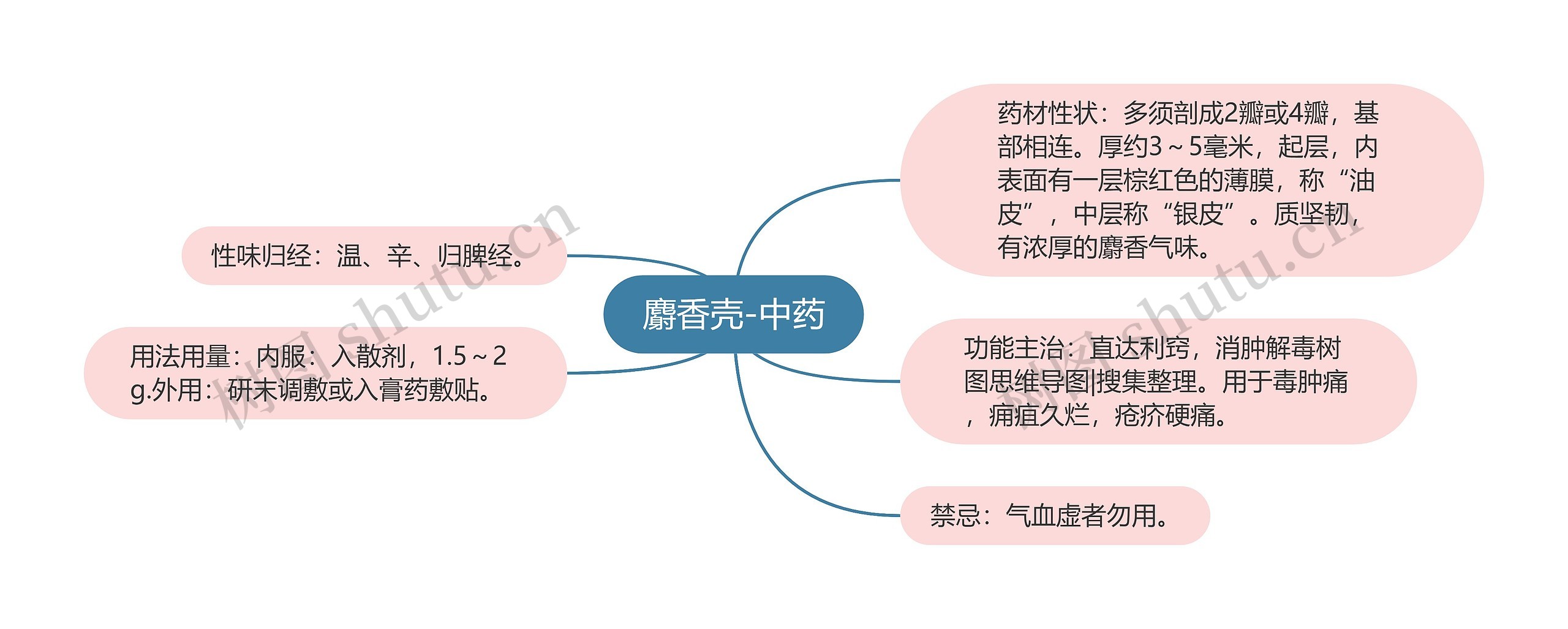 麝香壳-中药思维导图