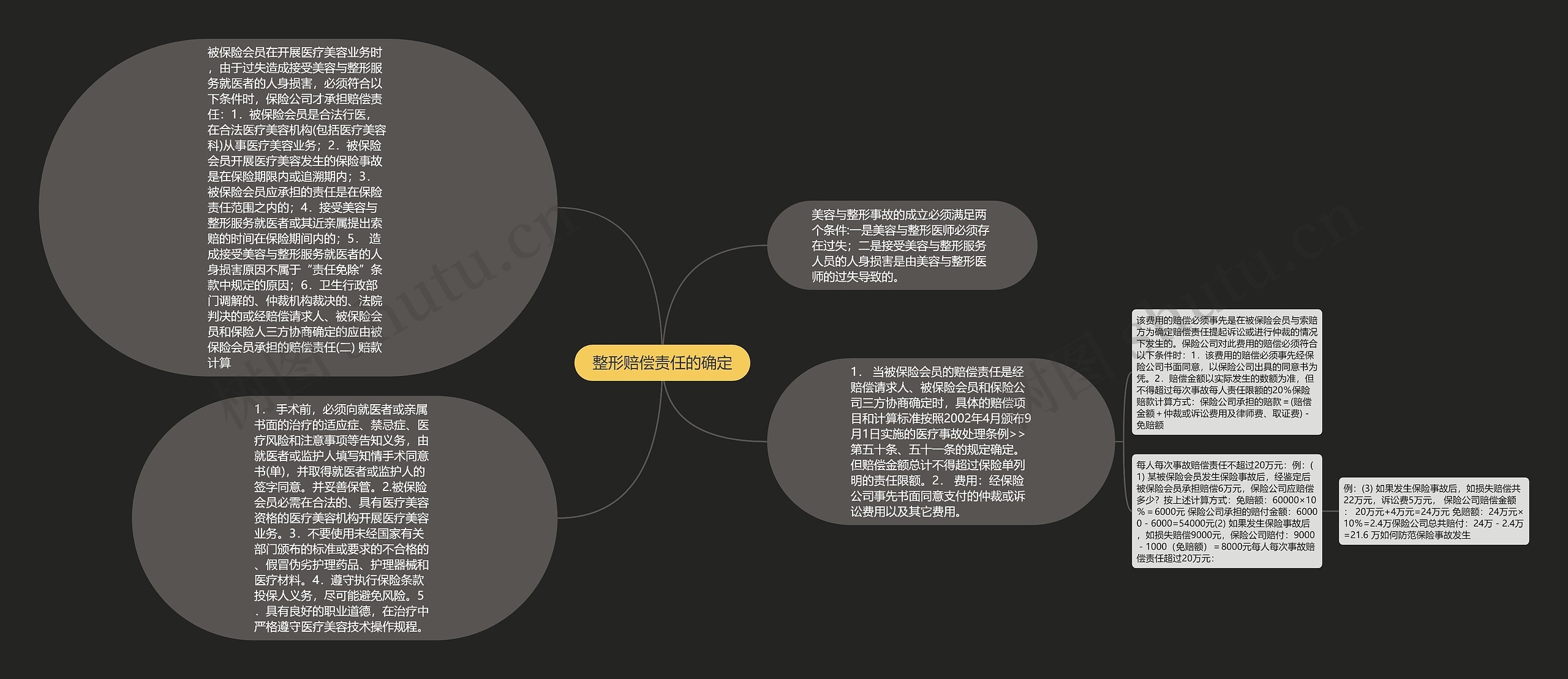 整形赔偿责任的确定思维导图