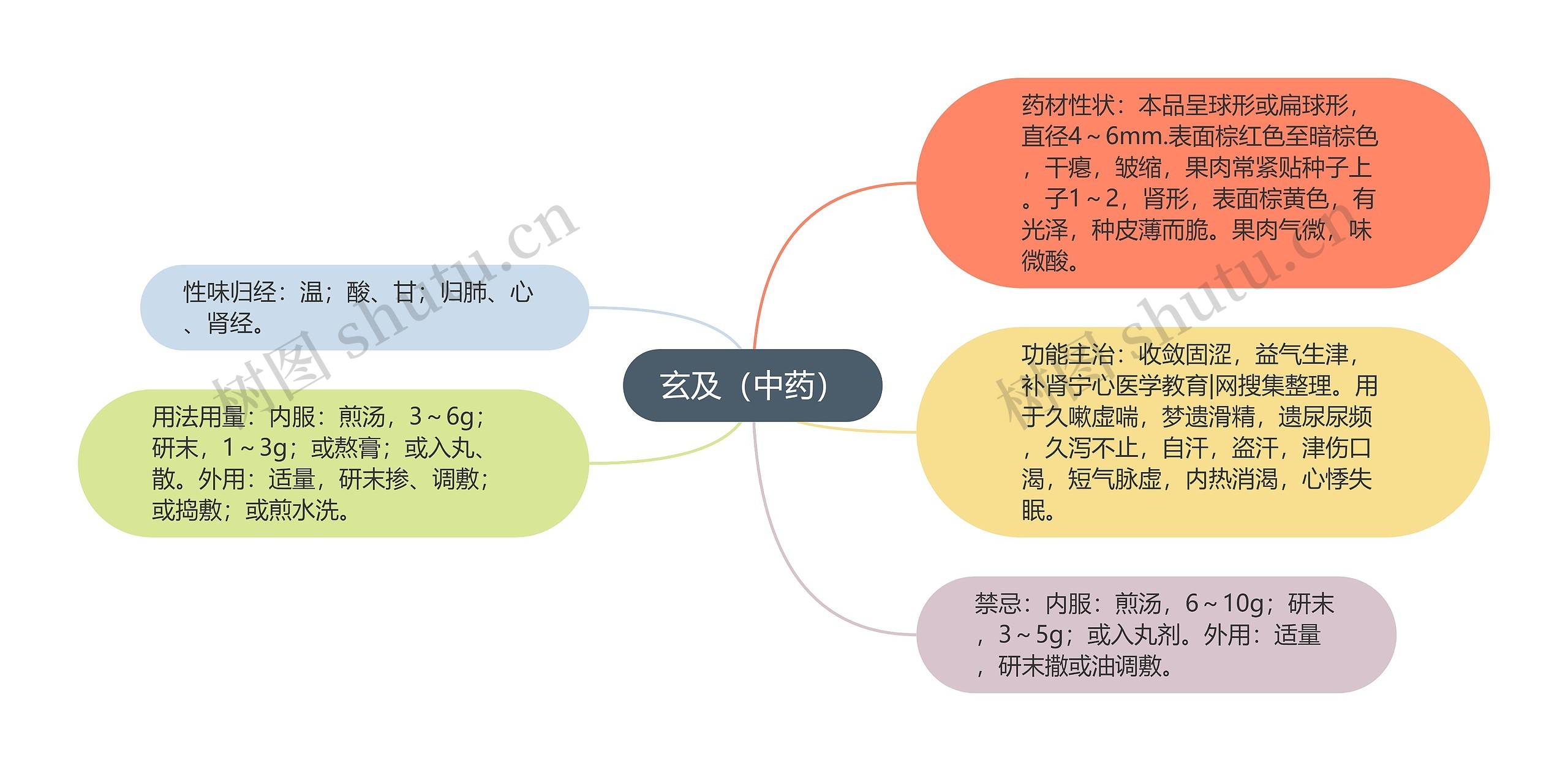玄及(中药) 玄及(中药)