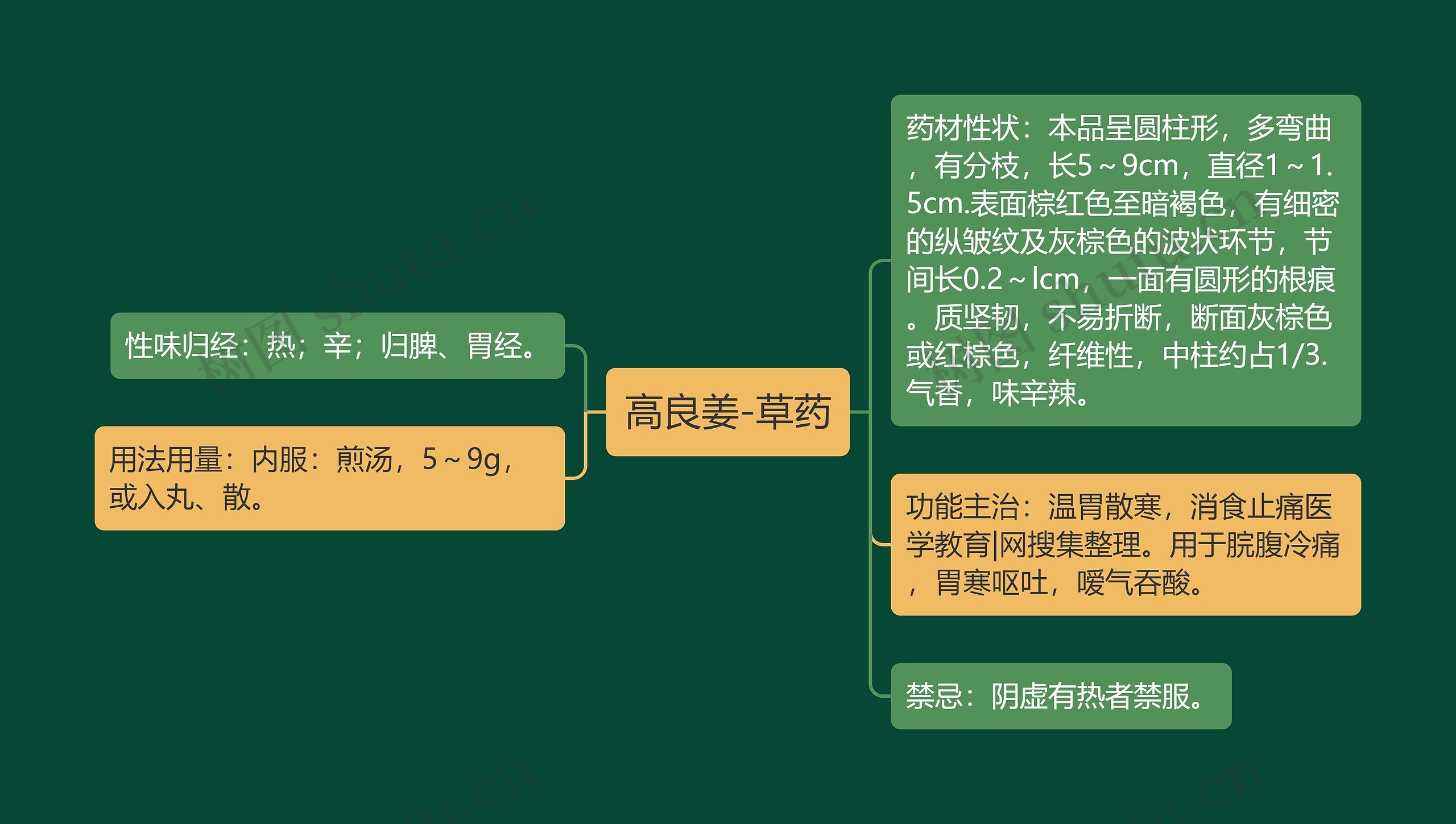 高良姜-草药思维导图