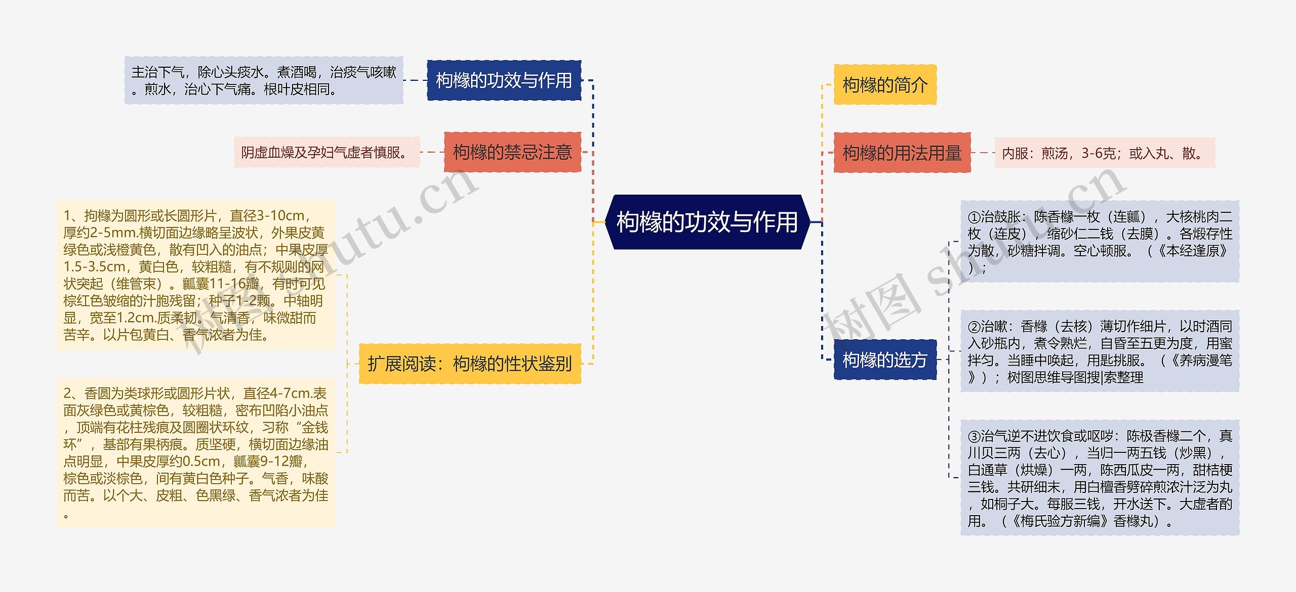 枸橼的功效与作用思维导图