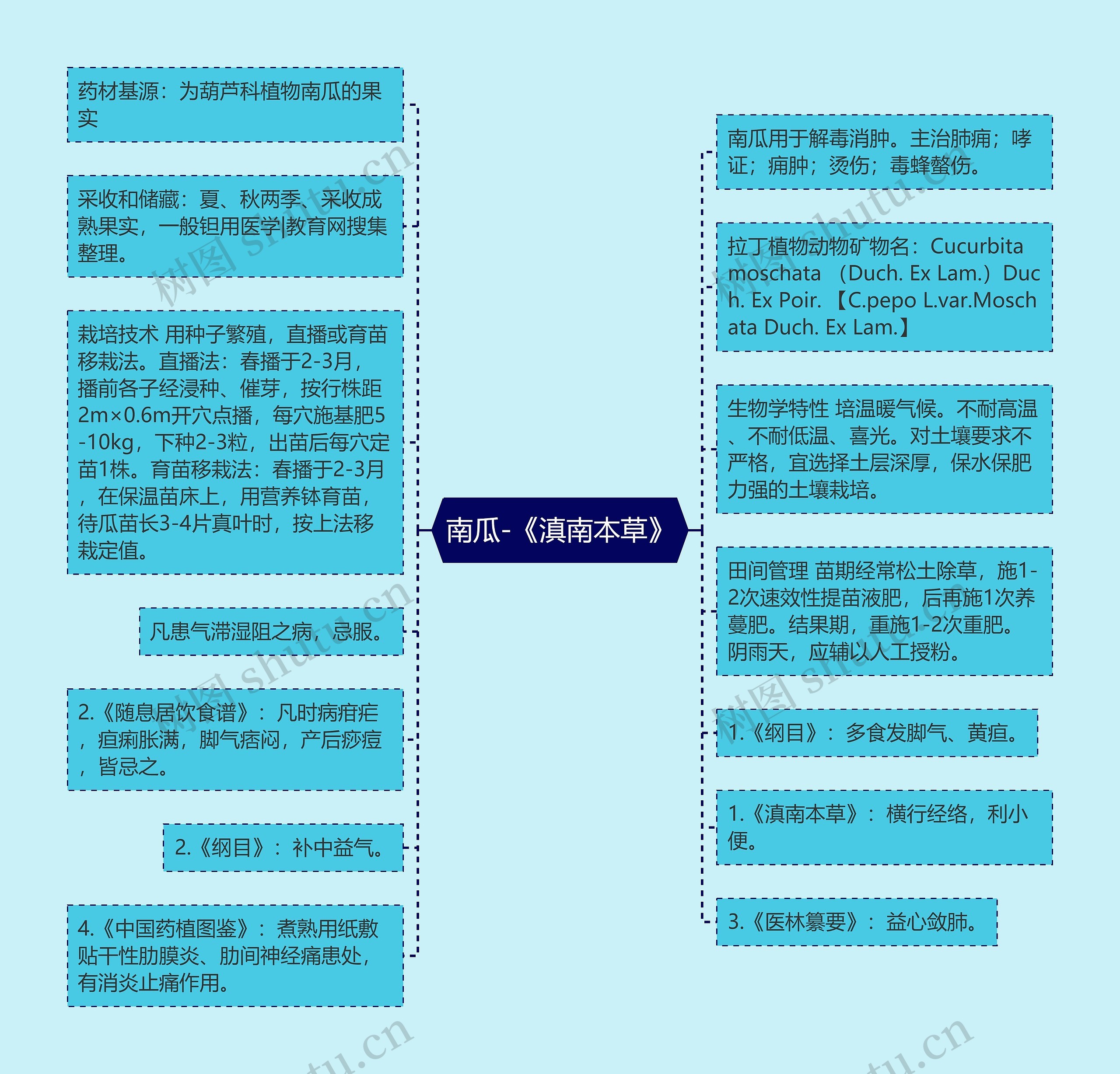 南瓜-《滇南本草》 南瓜-《滇南本草》