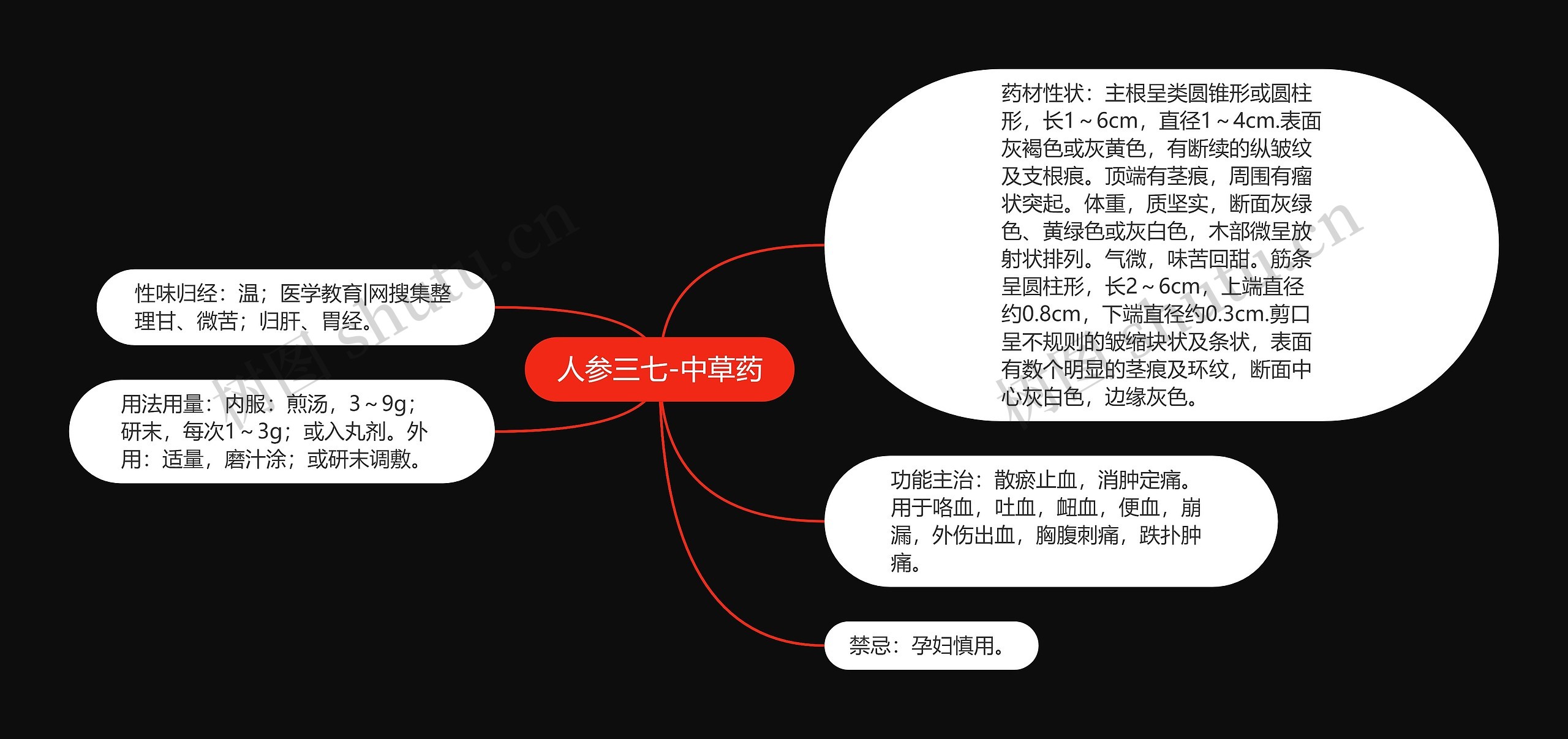 人参三七-中草药思维导图