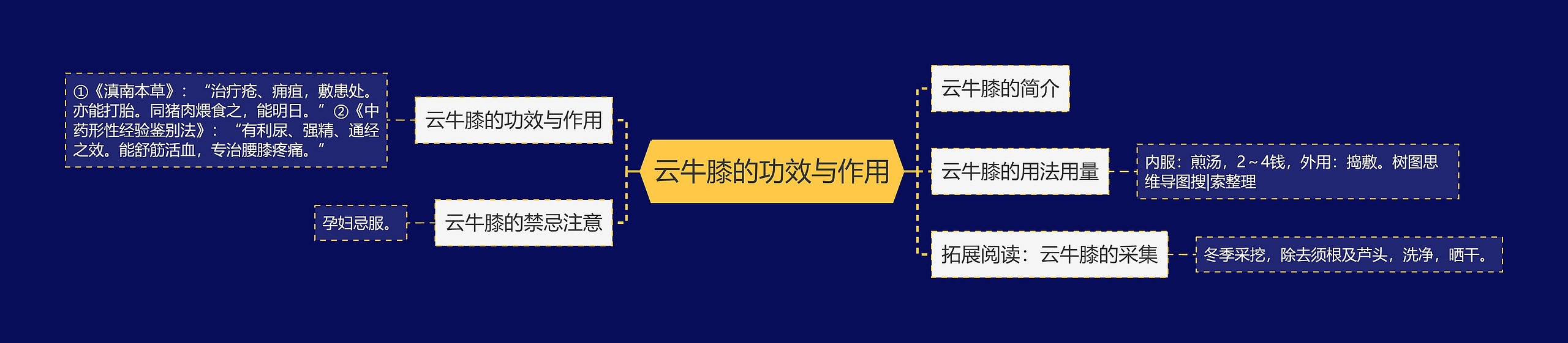 云牛膝的功效与作用 云牛膝的功效与作用