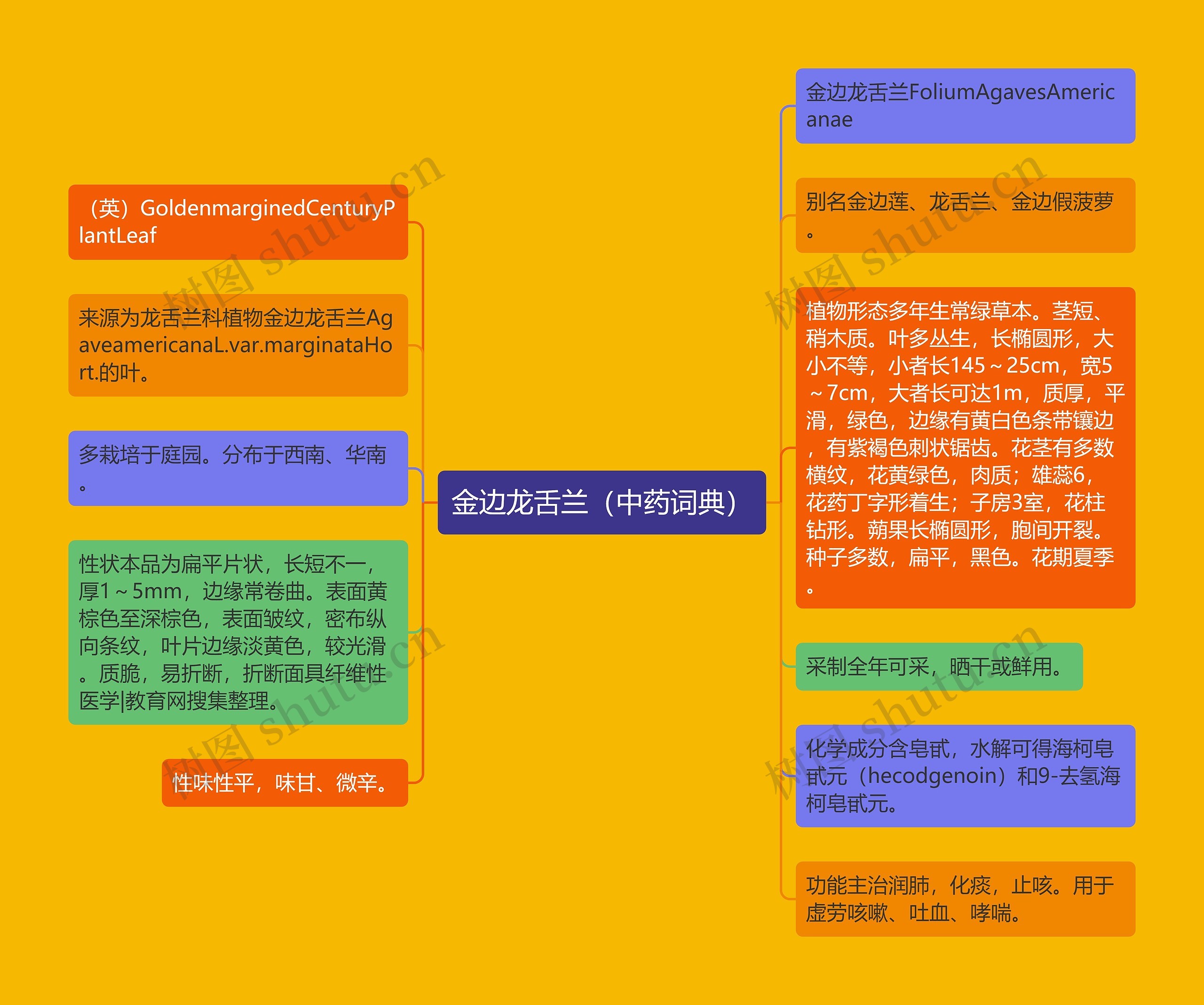 金边龙舌兰(中药词典) 金边龙舌兰(中药词典)