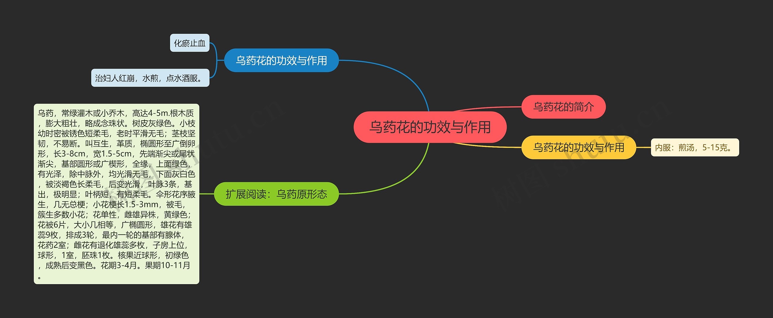 乌药花的功效与作用思维导图