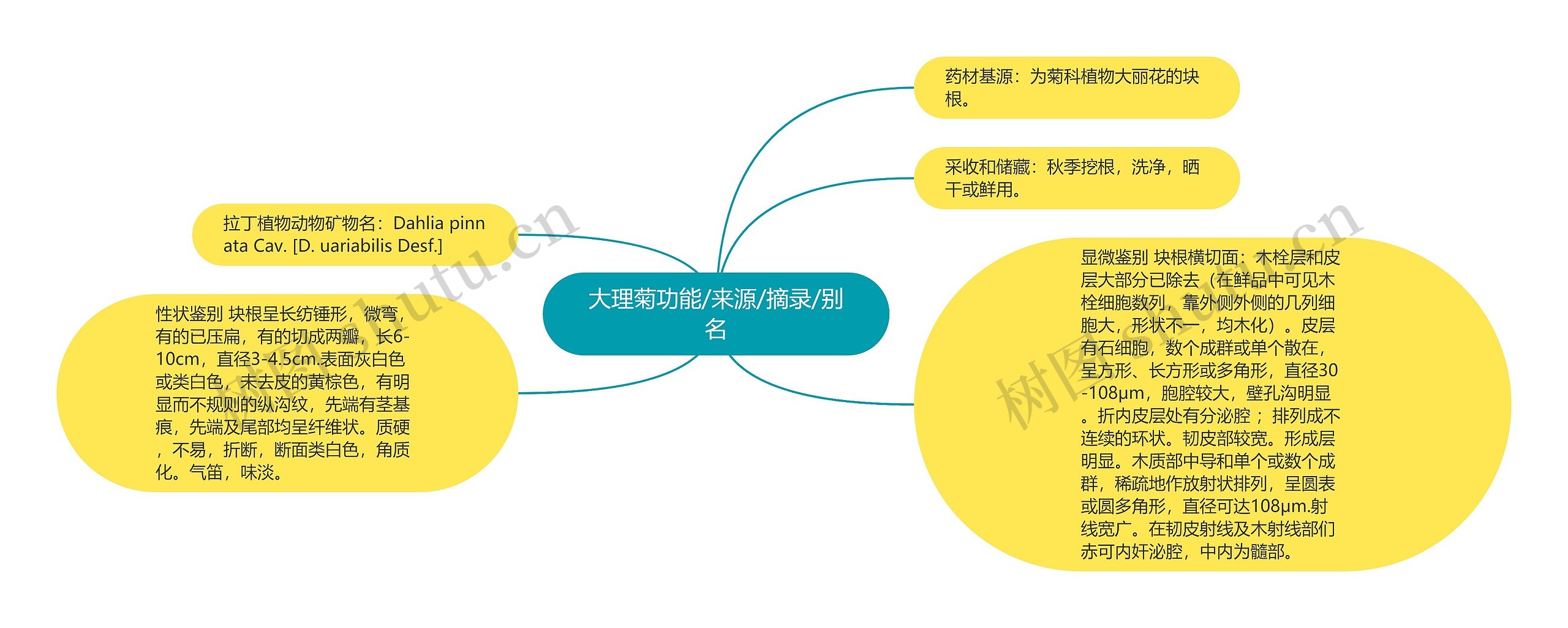 大理菊功能/来源/摘录/别名 大理菊功能/来源/摘录/别名