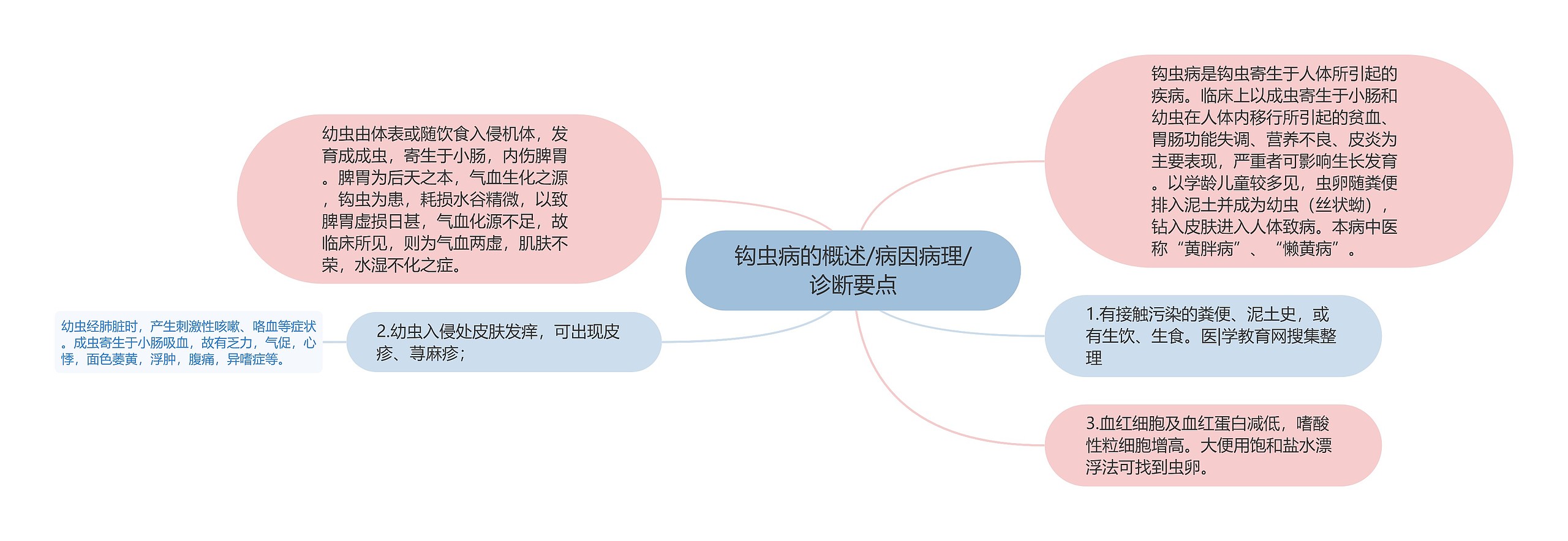 钩虫病的概述/病因病理/诊断要点 钩虫病的概述/病因病理/诊断要点