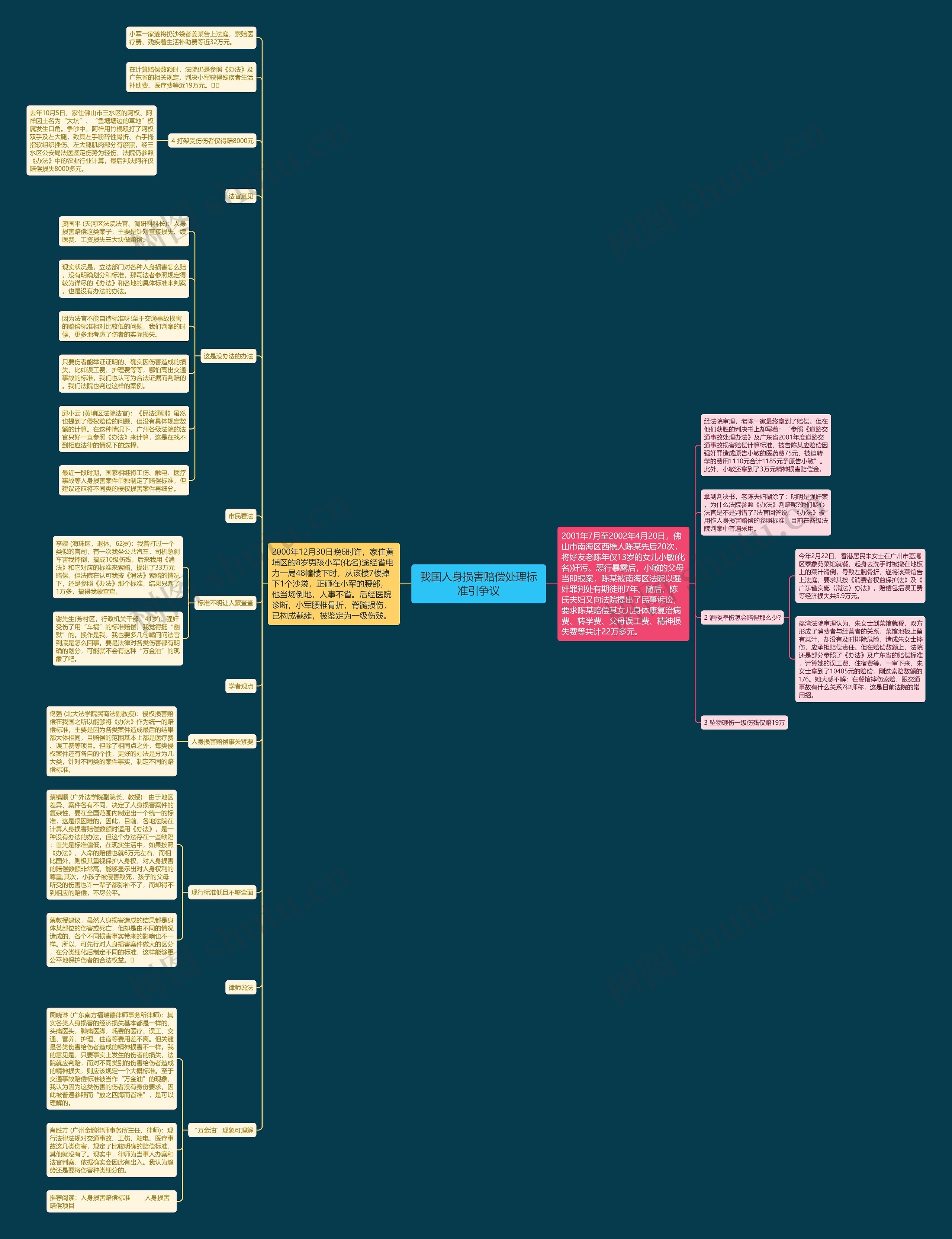 我国人身损害赔偿处理标准引争议思维导图