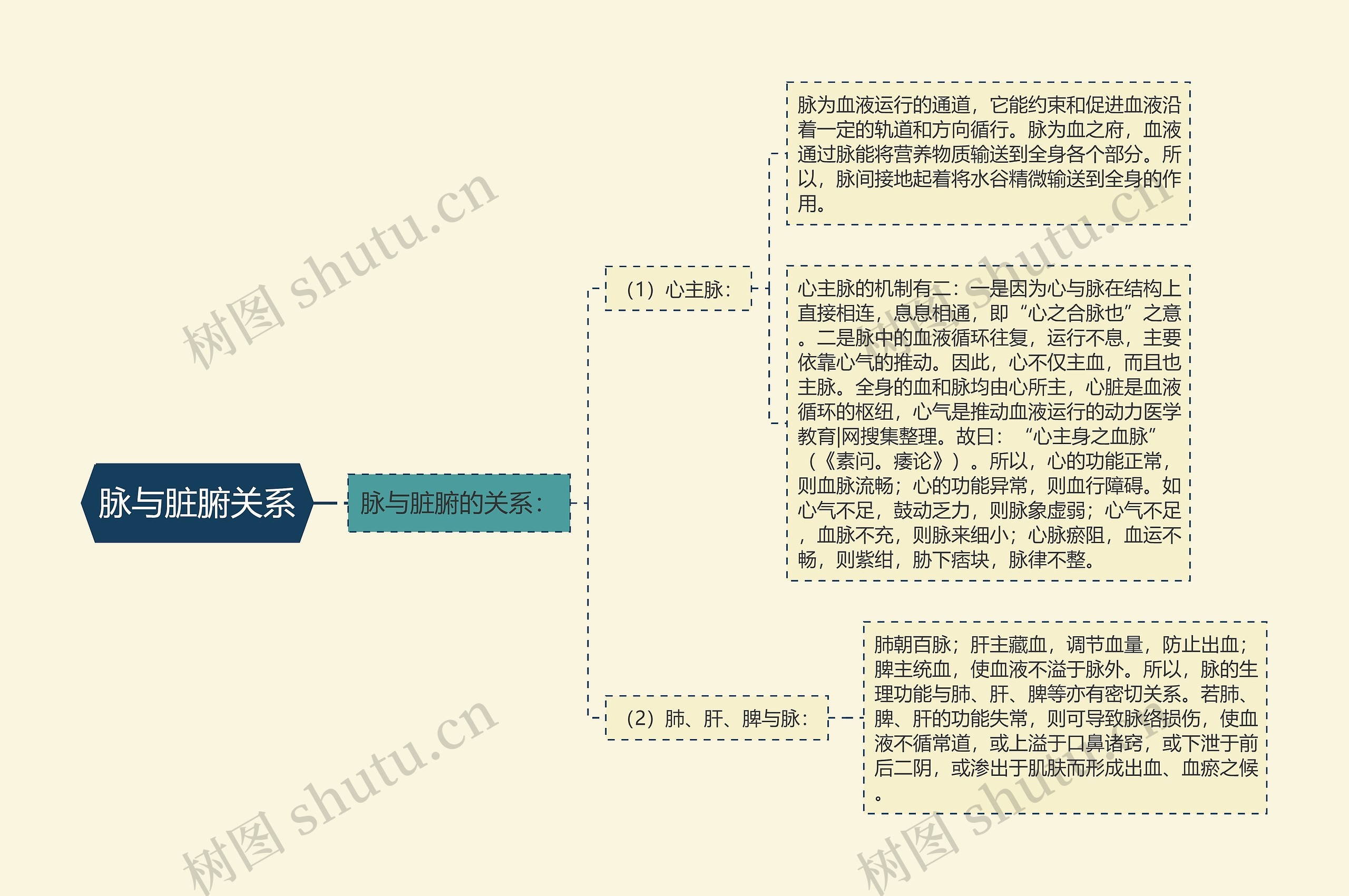 脉与脏腑关系