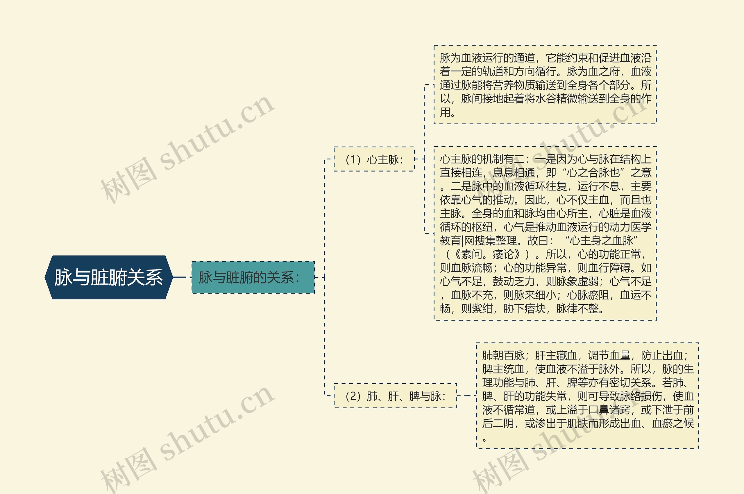 脉与脏腑关系思维导图