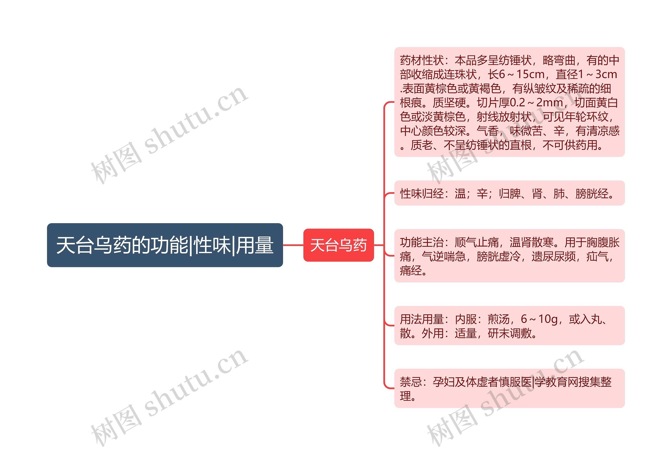 天台乌药的功能|性味|用量