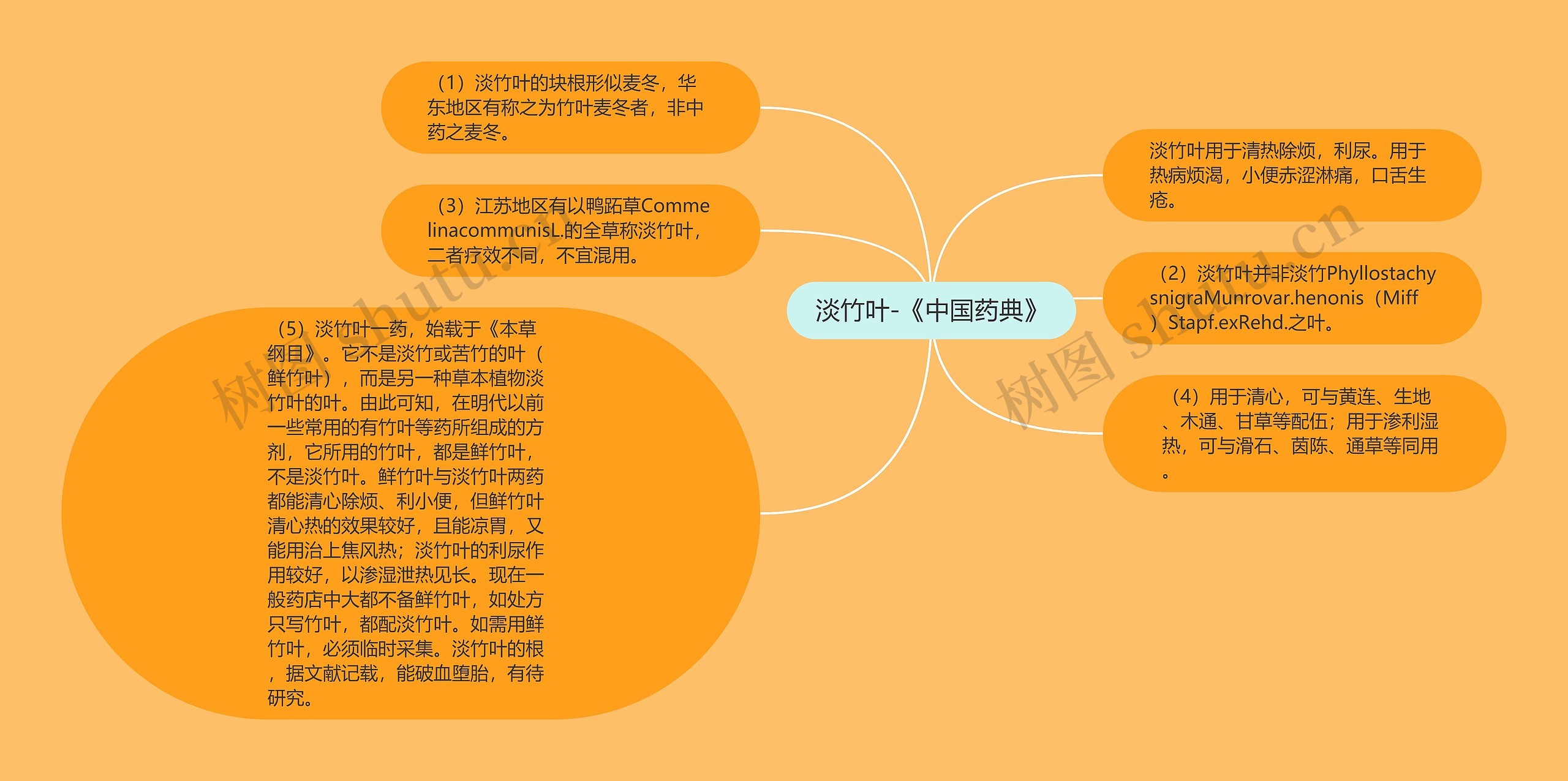 淡竹叶-《中国药典》思维导图