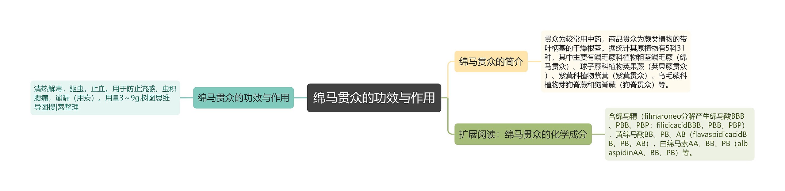 绵马贯众的功效与作用