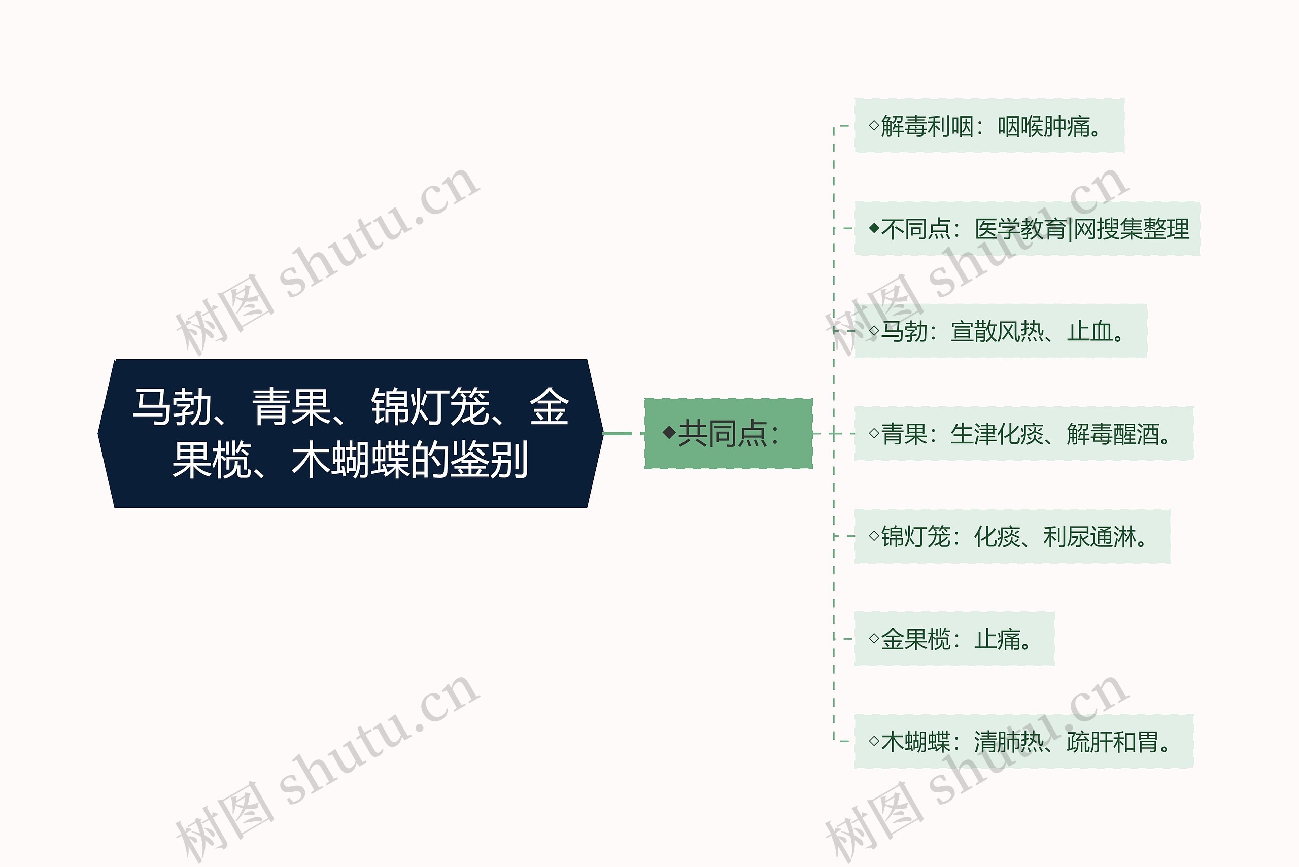 马勃、青果、锦灯笼、金果榄、木蝴蝶的鉴别思维导图