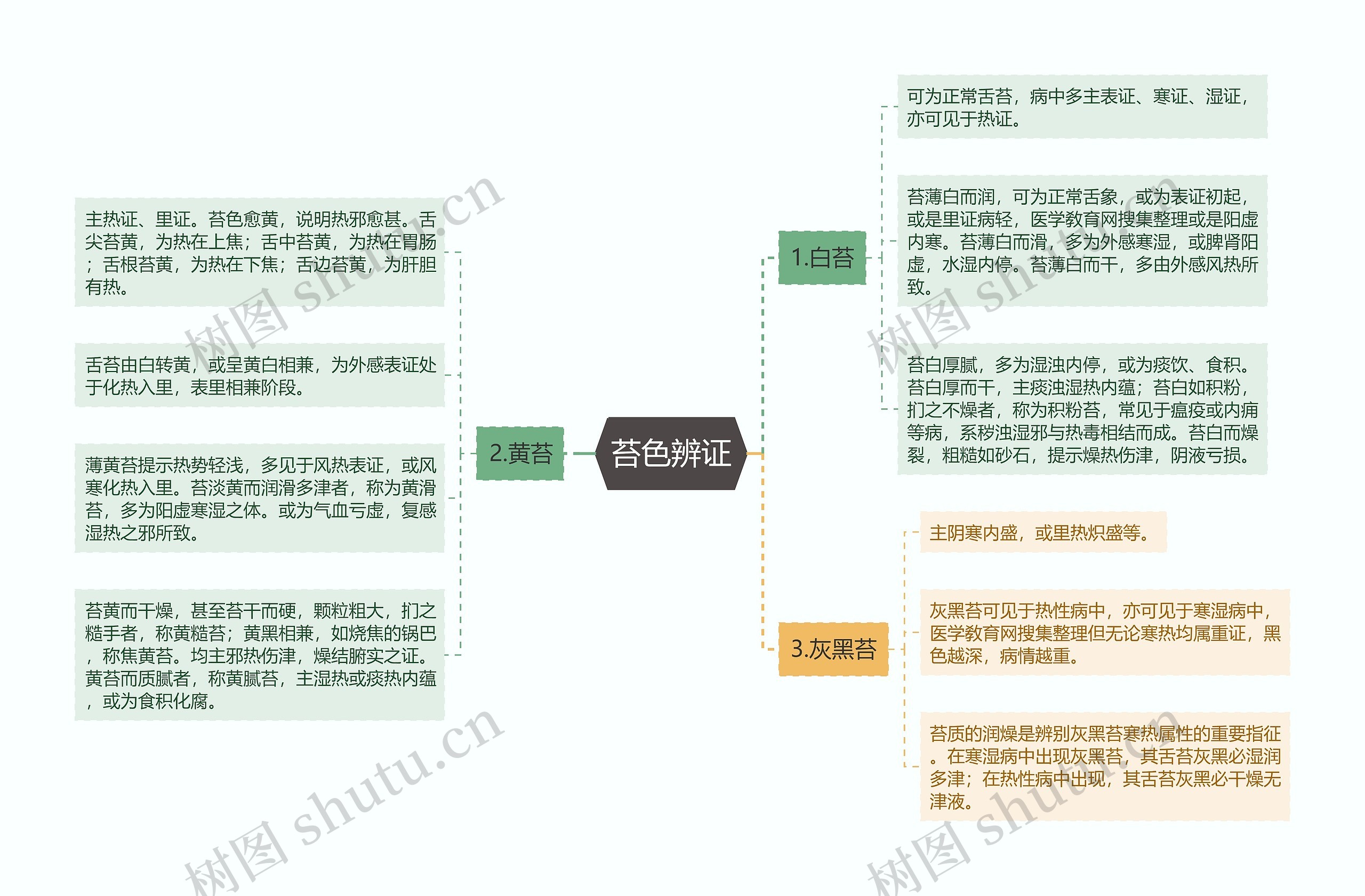 苔色辨证