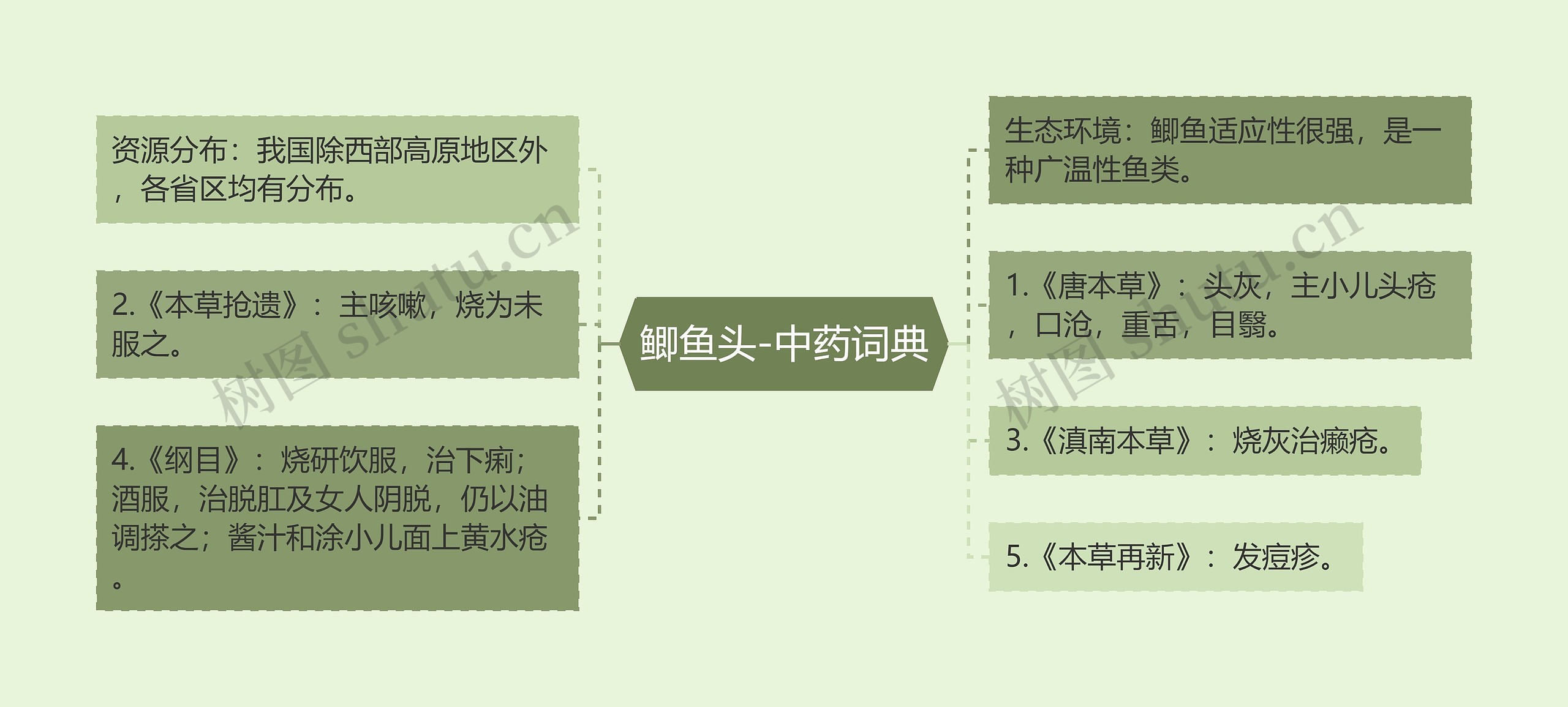 鲫鱼头-中药词典思维导图