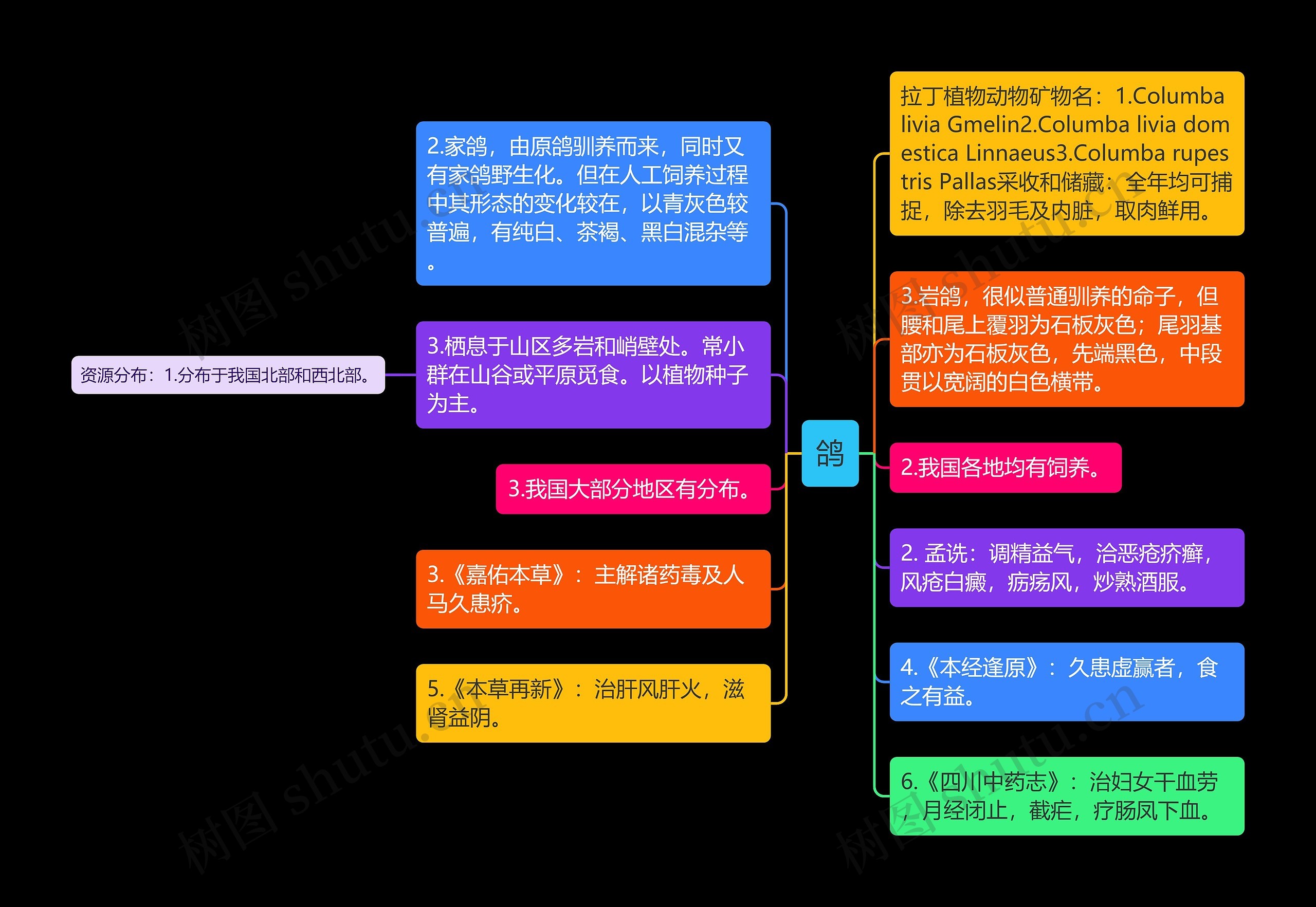 鸽思维导图