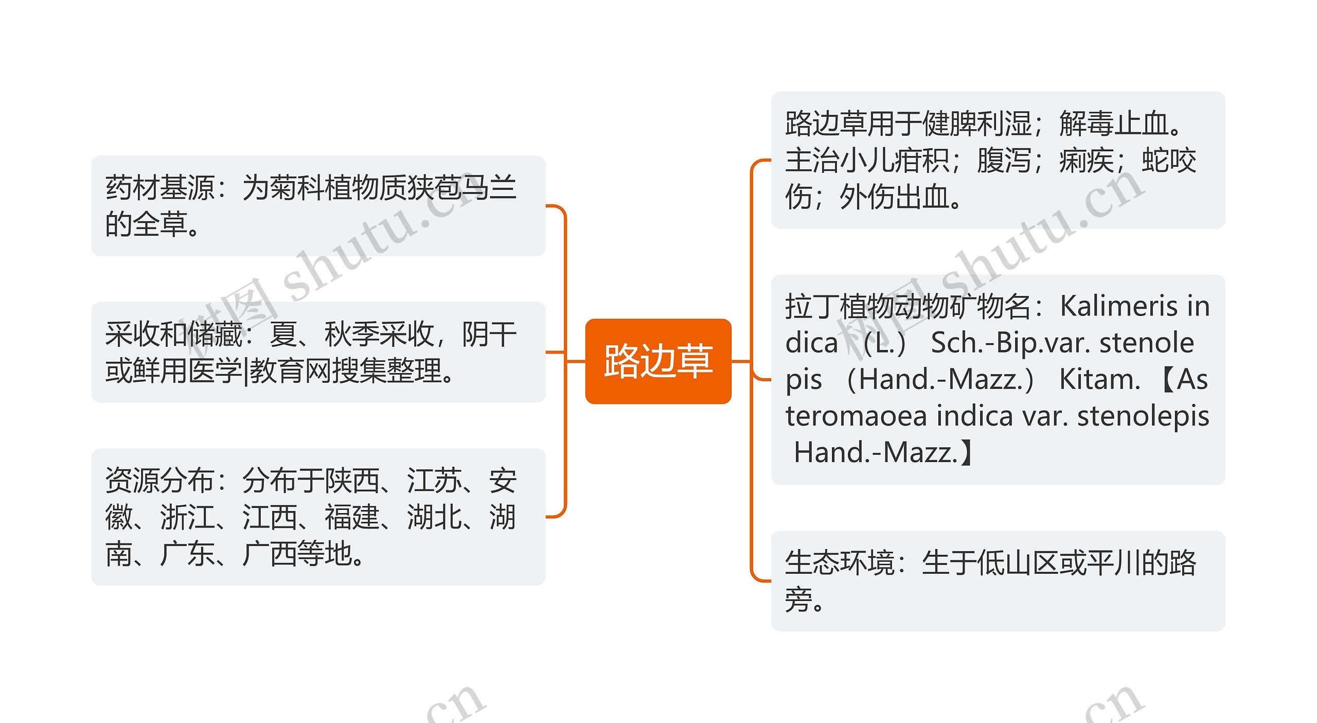 路边草