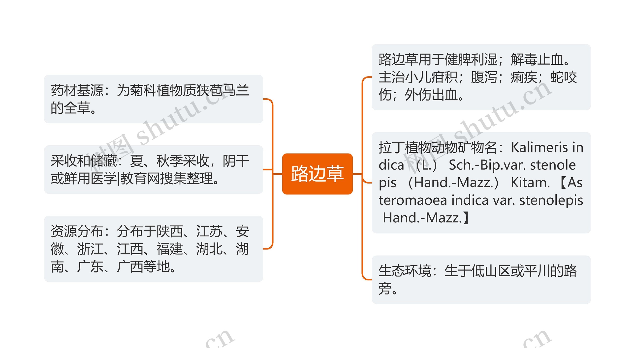 路边草思维导图