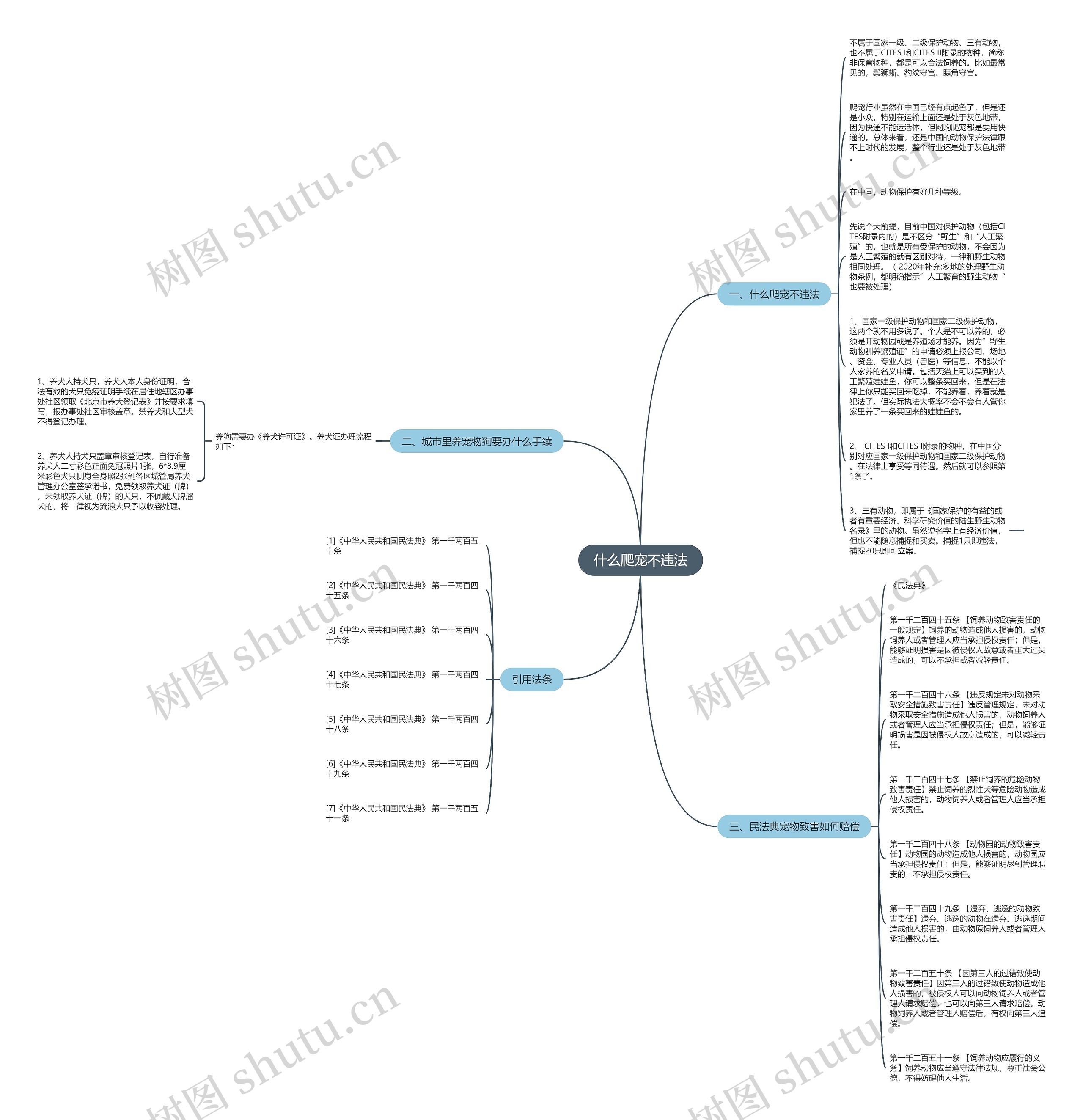 什么爬宠不违法思维导图