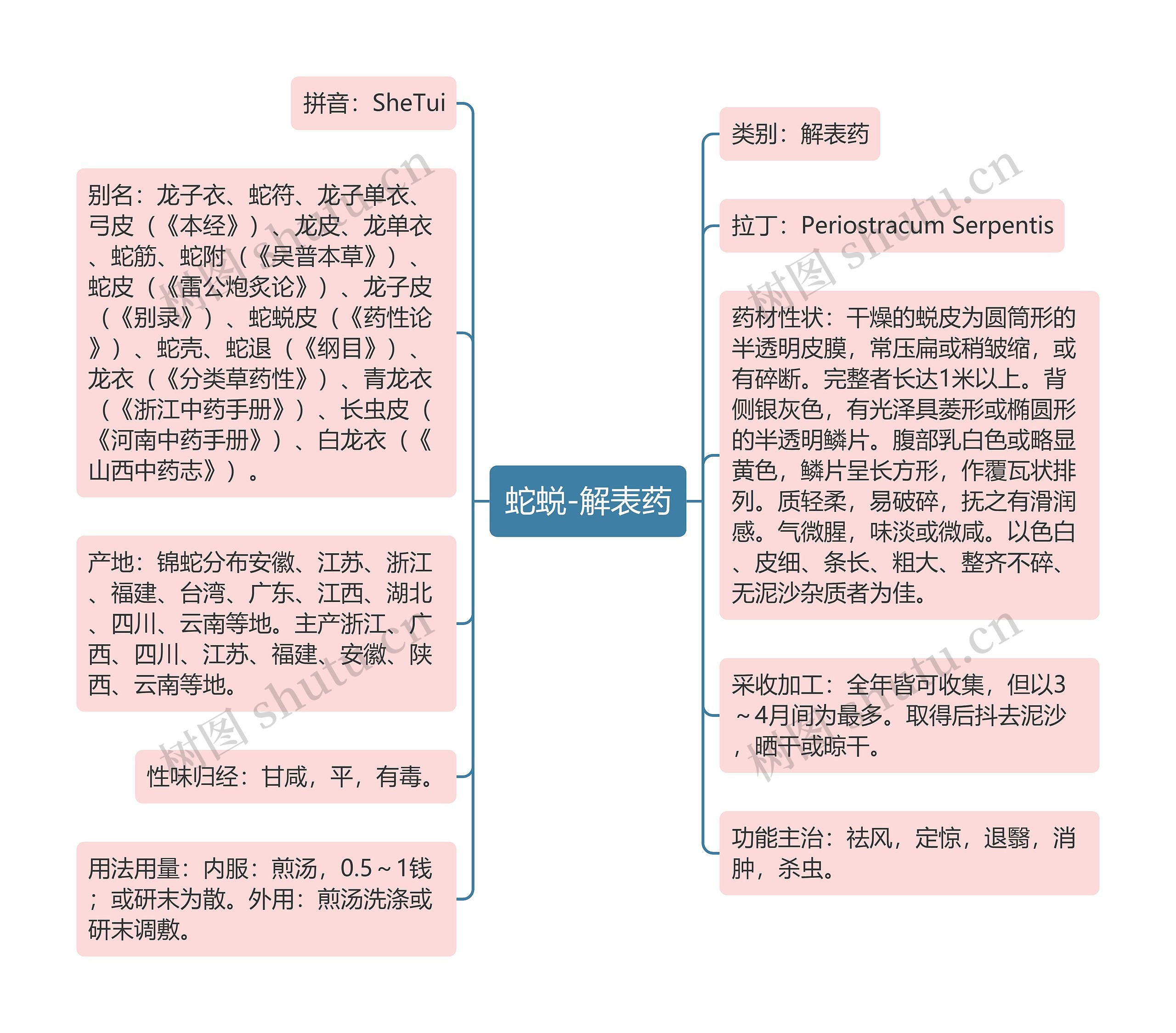 蛇蜕-解表药 蛇蜕-解表药