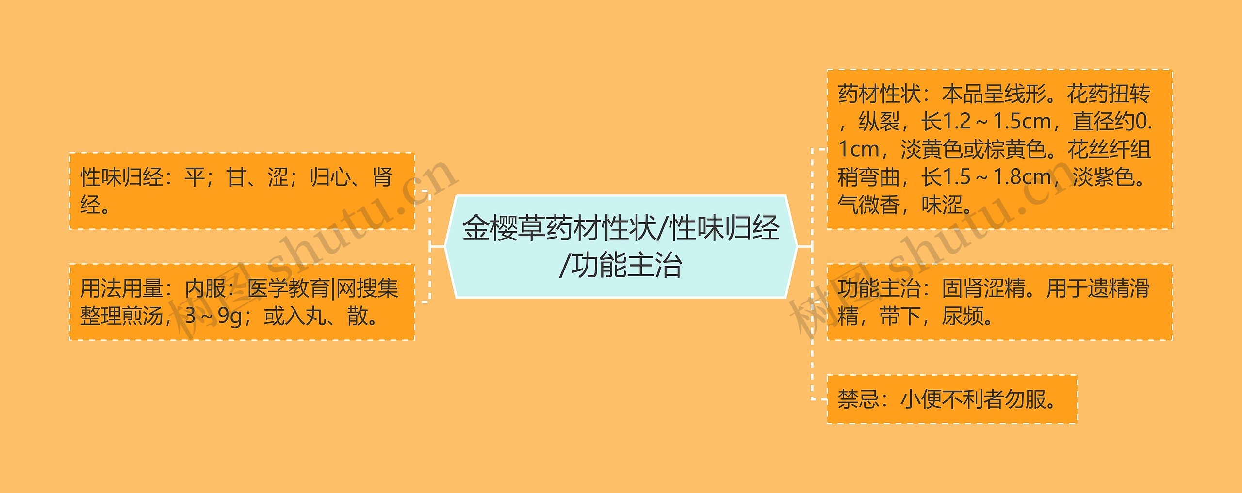 金樱草药材性状/性味归经/功能主治思维导图