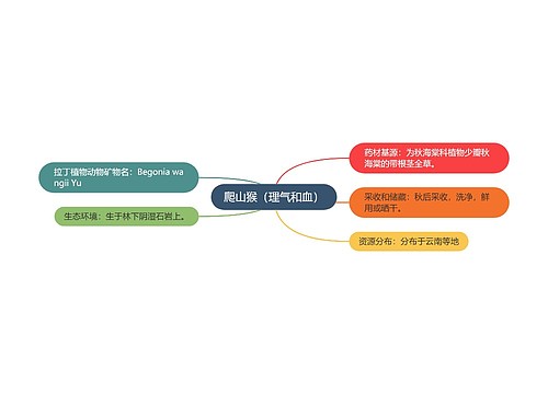 爬山猴（理气和血）