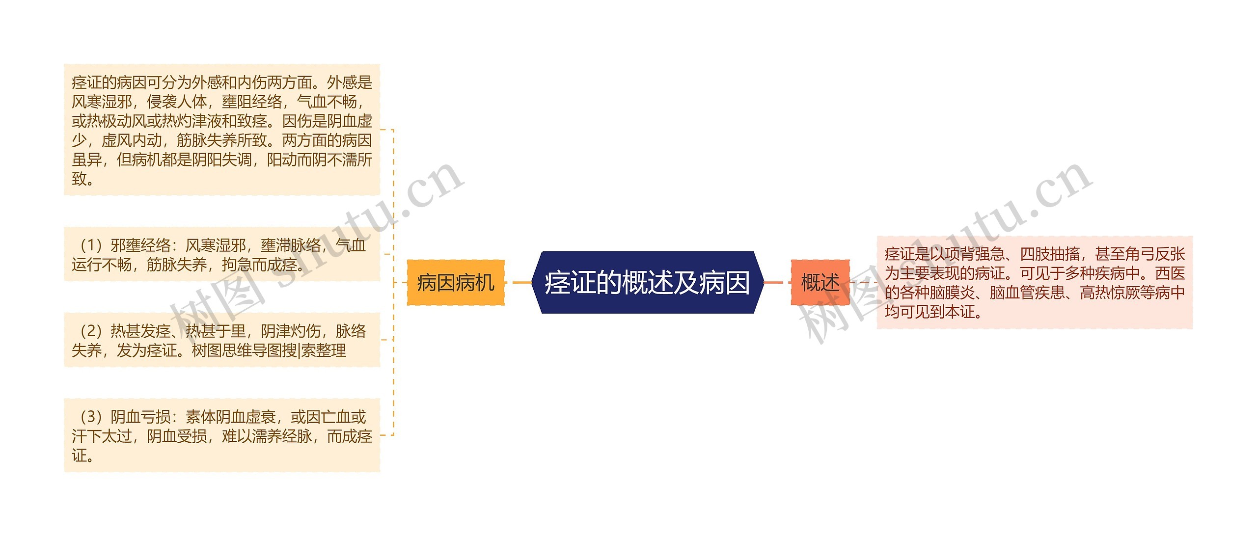 痉证的概述及病因思维导图