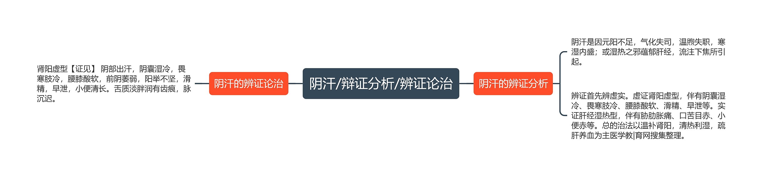 阴汗/辩证分析/辨证论治思维导图