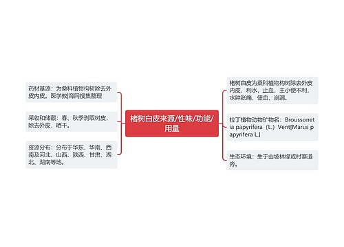 楮树白皮来源/性味/功能/用量