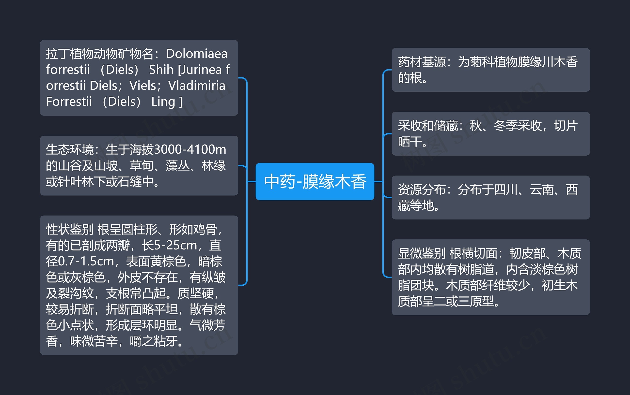 中药-膜缘木香思维导图