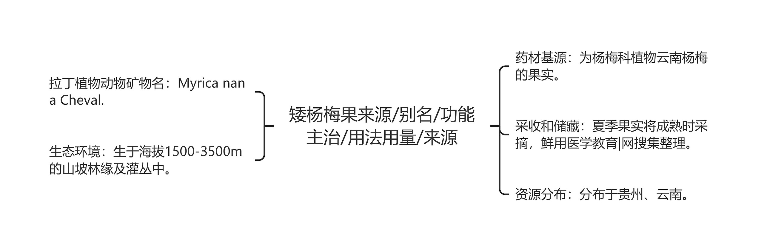 矮杨梅果来源/别名/功能主治/用法用量/来源思维导图