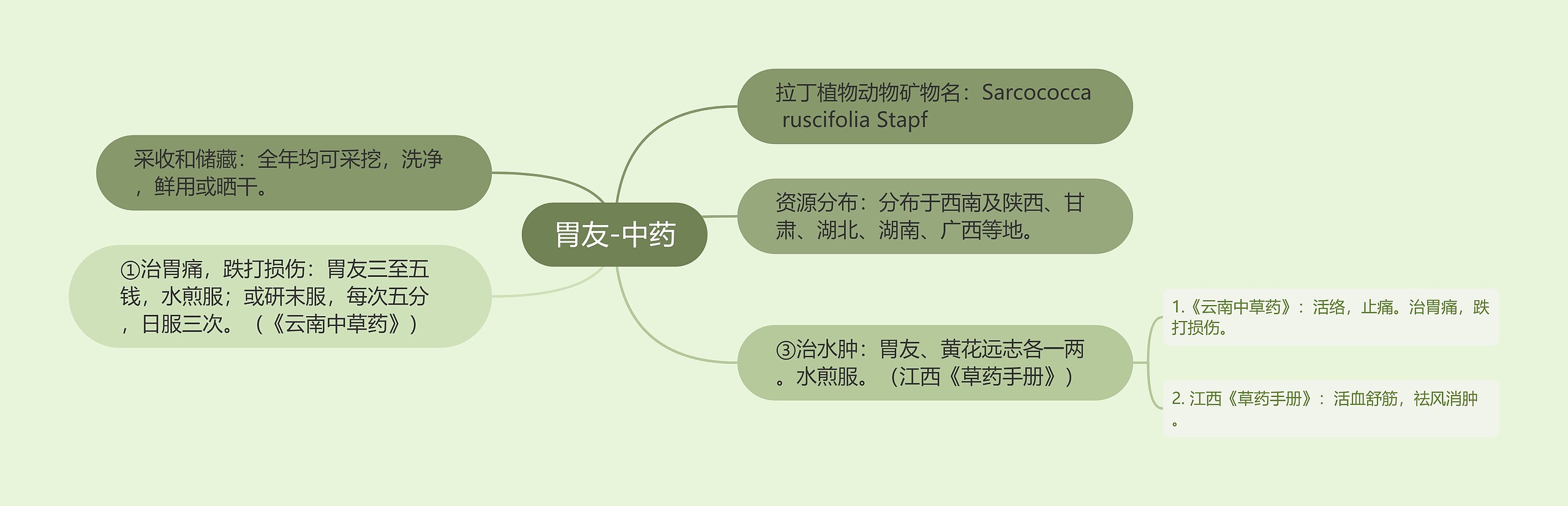 胃友-中药 胃友-中药