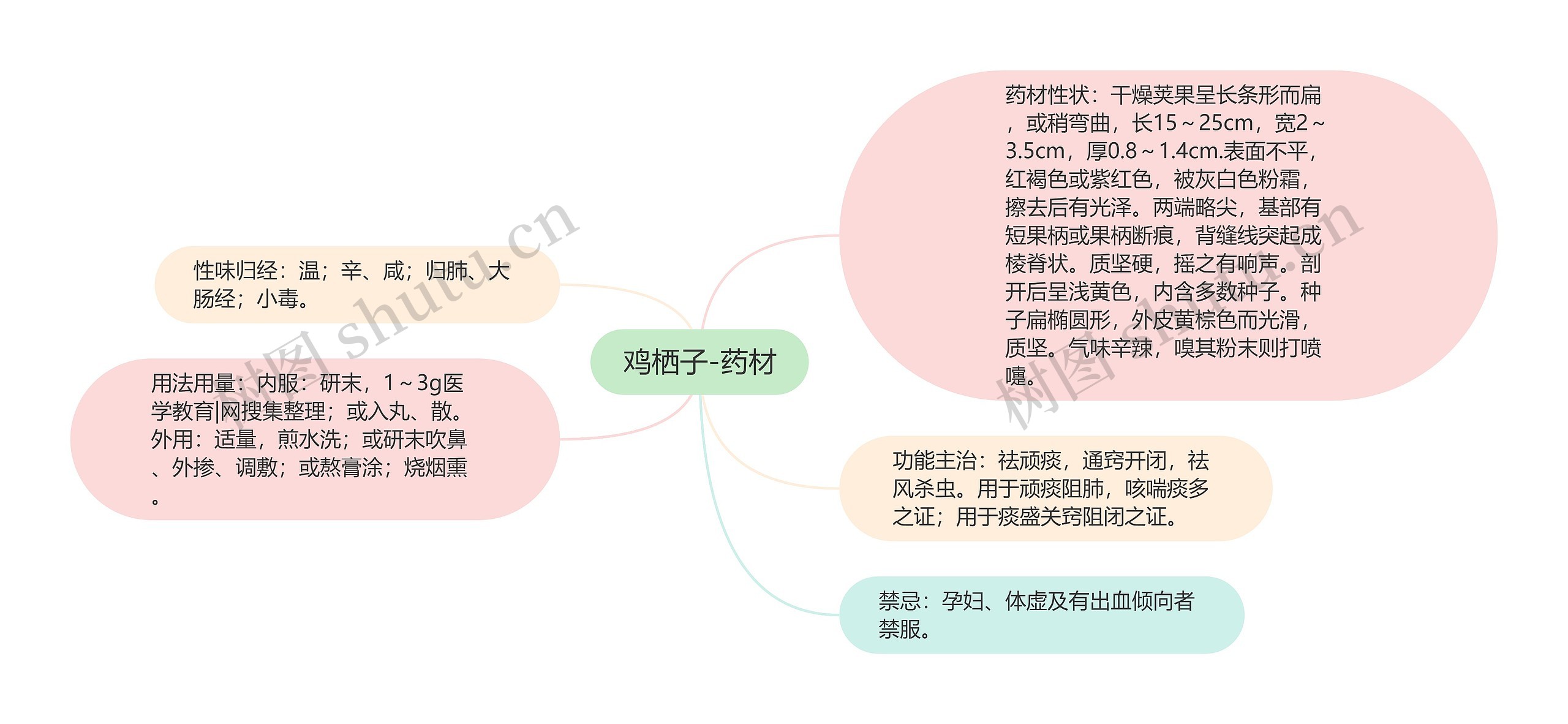 鸡栖子-药材思维导图